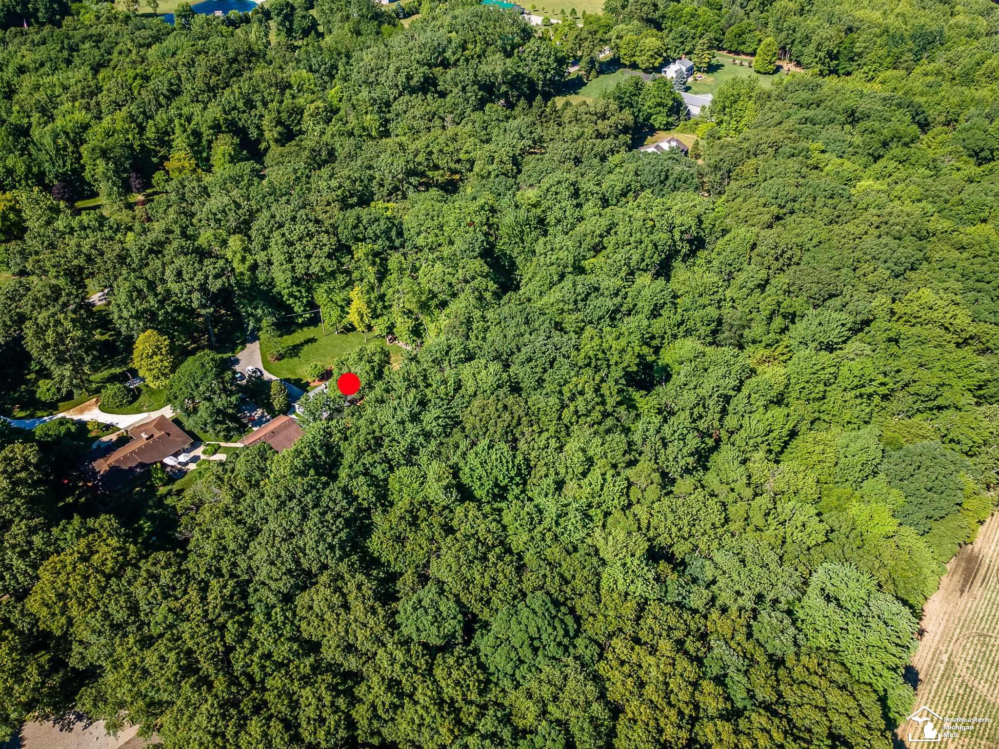 4496 School Road, Temperance, MI 48182 — Photo 45