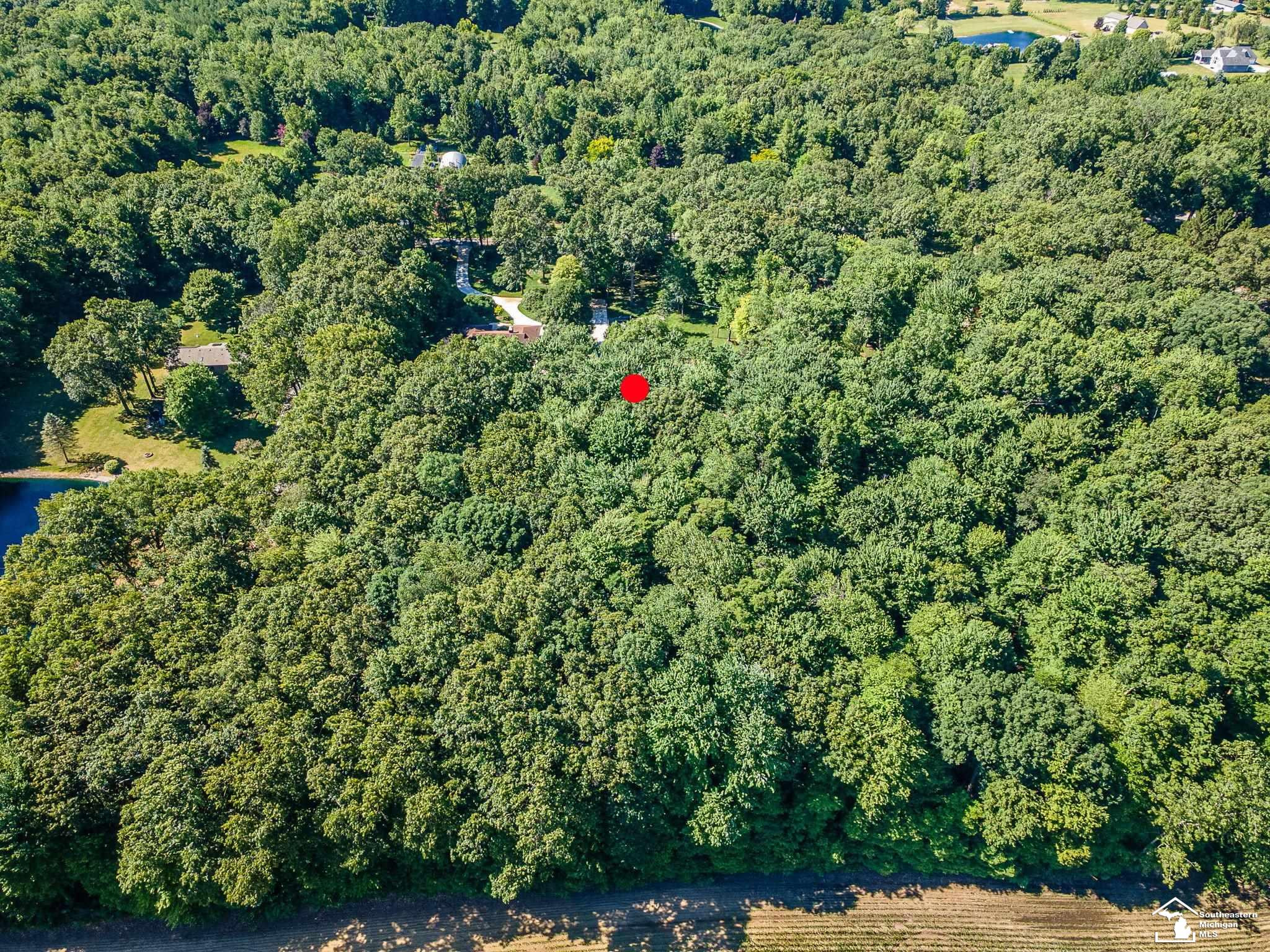 4496 School Road, Temperance, MI 48182 — Photo 46