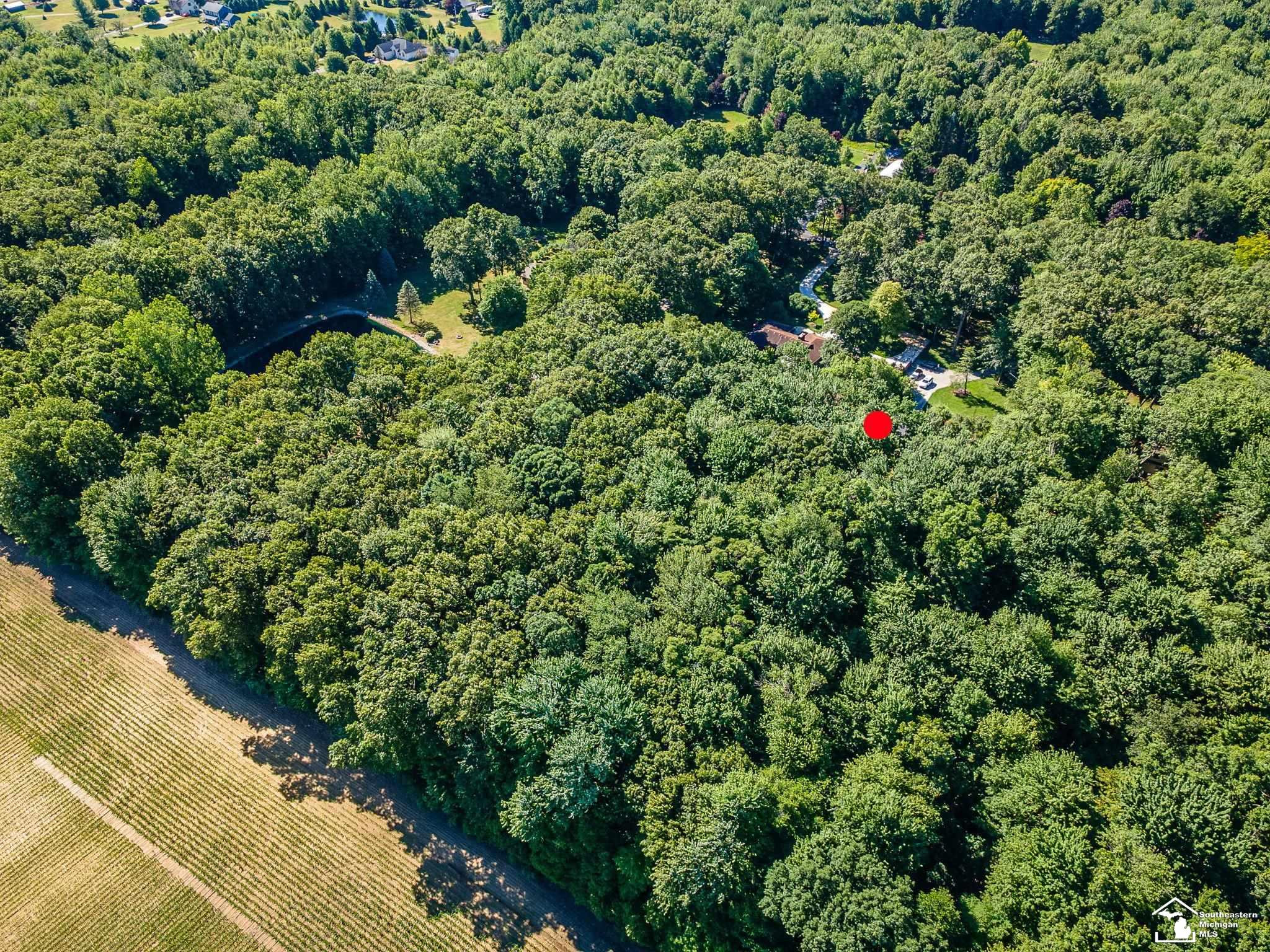 4496 School Road, Temperance, MI 48182 — Photo 47