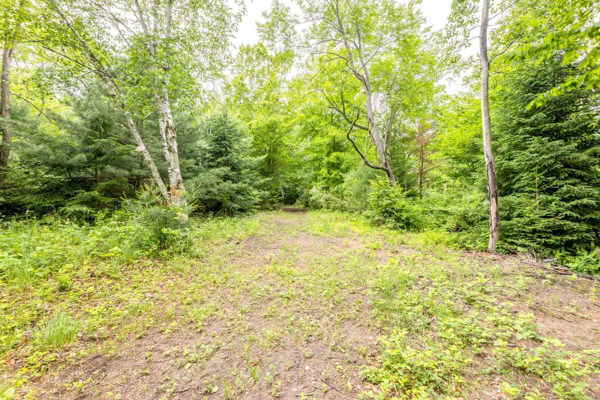 4484 Lakeshore Road, Lexington, MI 48450 — Photo 79