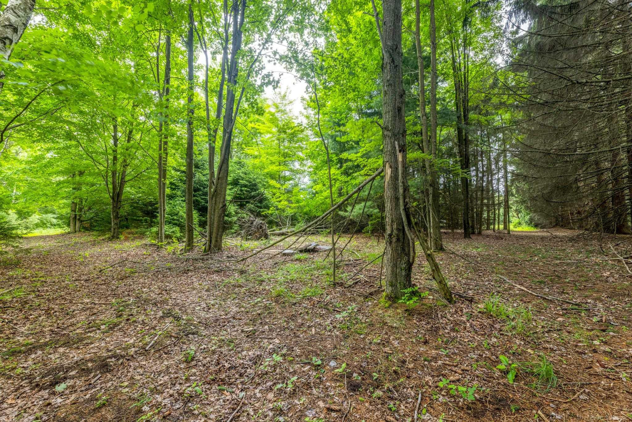 4484 Lakeshore Road, Lexington, MI 48450 — Photo 80