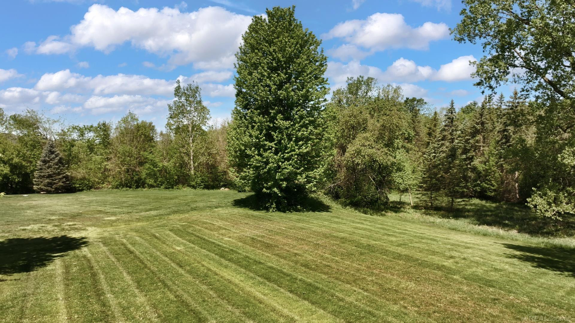 55733 Whitney Court, Shelby Twp, MI 48315 — Photo 92