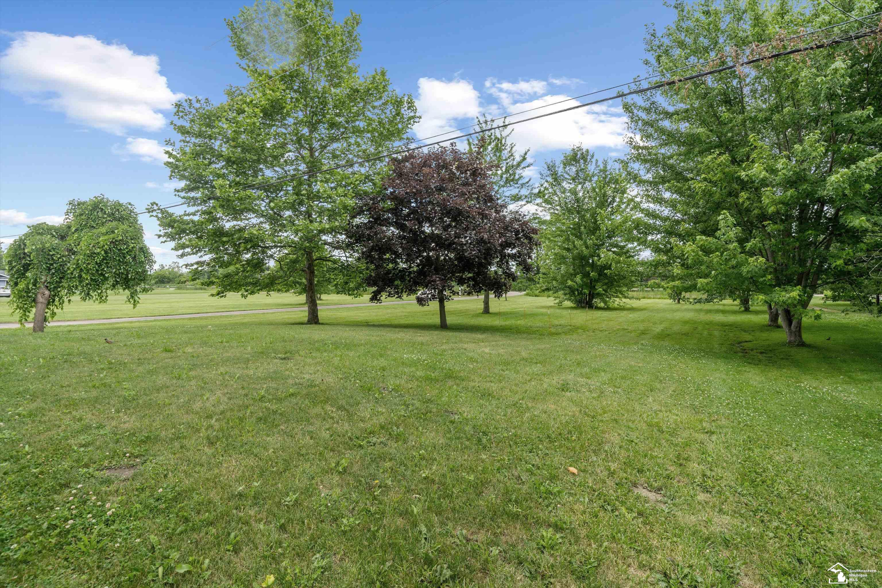 24677 WALTZ Road, New Boston, MI 48164 — Photo 66