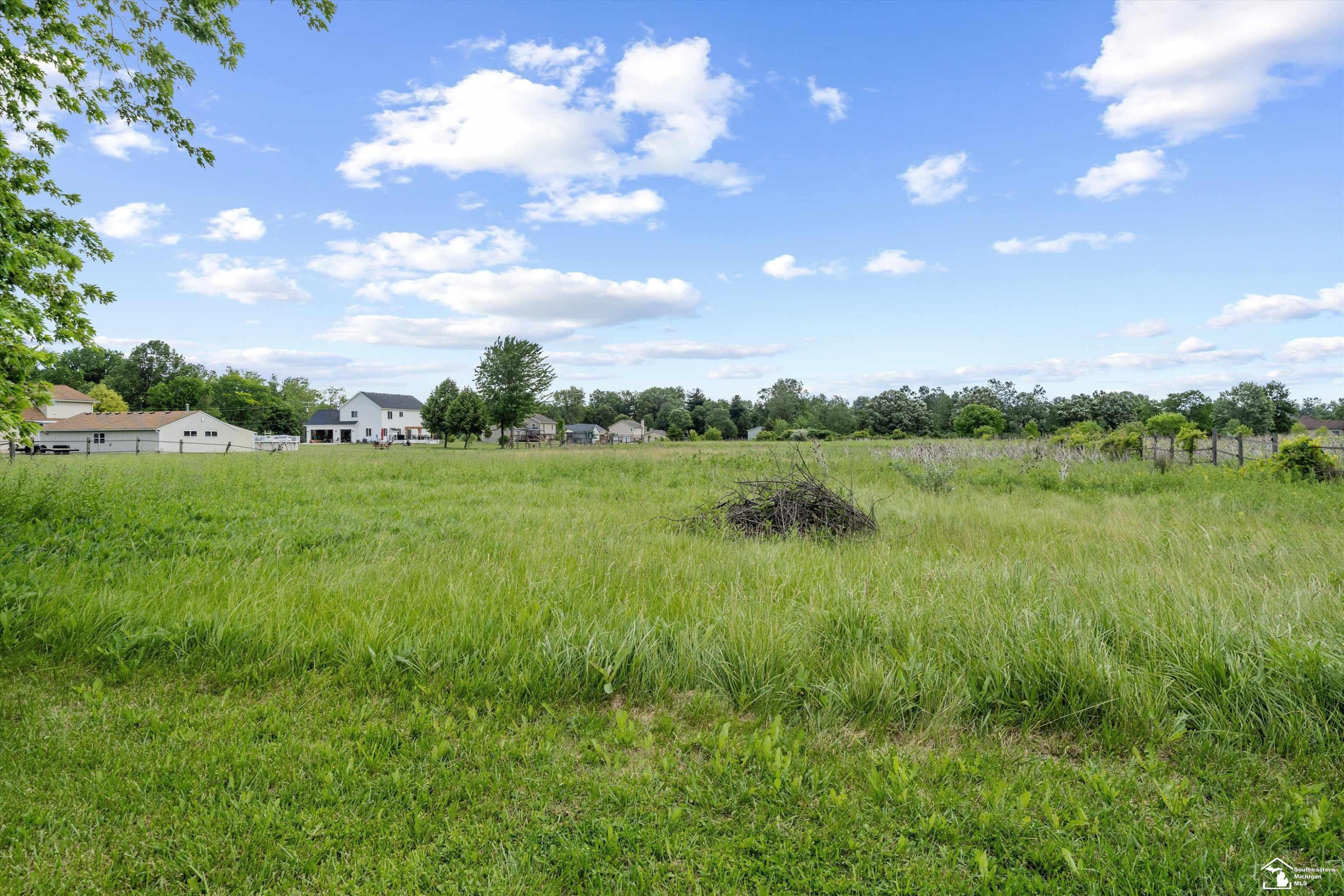 24677 WALTZ Road, New Boston, MI 48164 — Photo 68