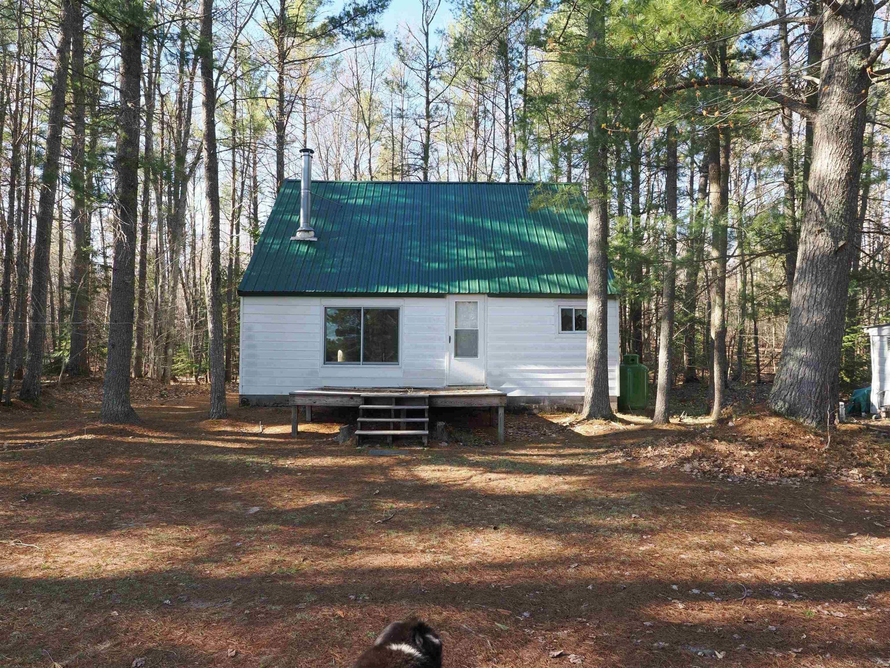 6035 W Sadlers Loop, Seney, MI 49883 — front exterior