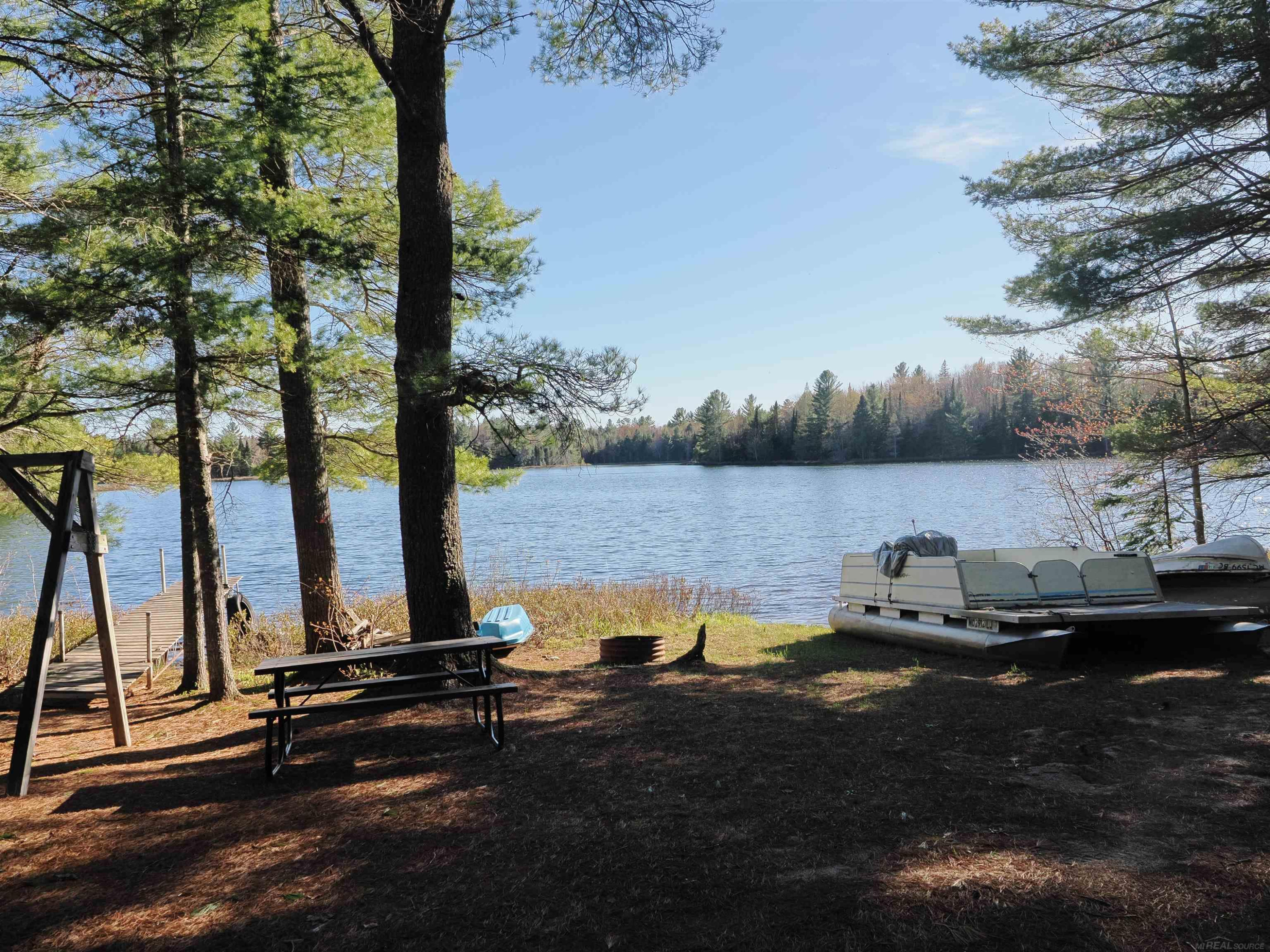 6035 W Sadlers Loop, Seney, MI 49883 — Photo 2