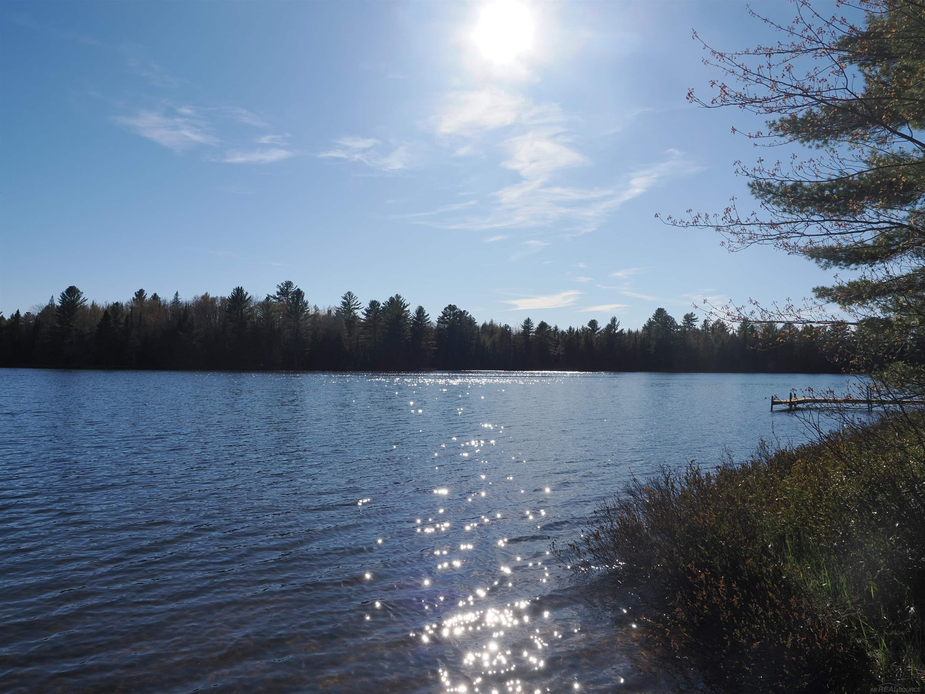 6035 W Sadlers Loop, Seney, MI 49883 — Photo 3