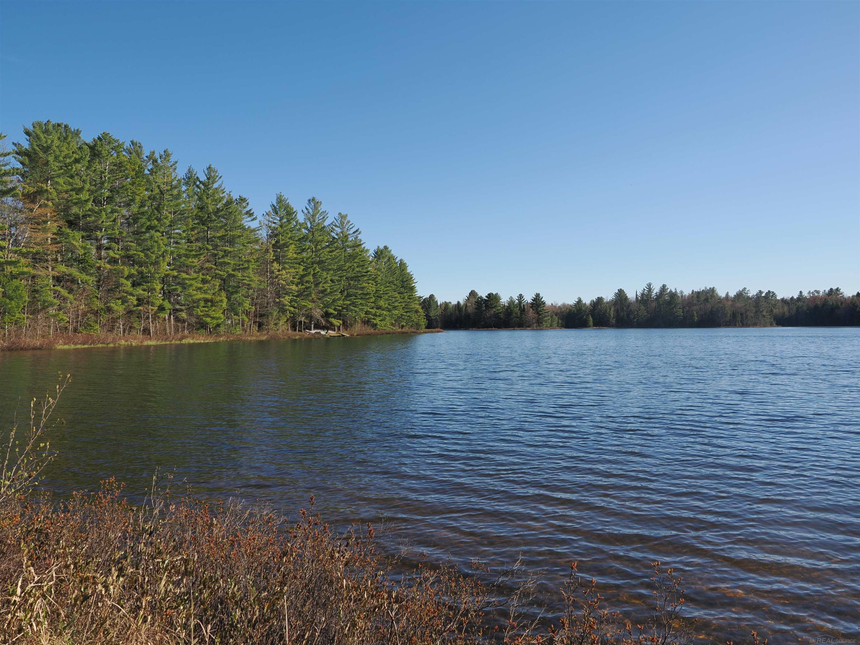 6035 W Sadlers Loop, Seney, MI 49883 — Photo 4
