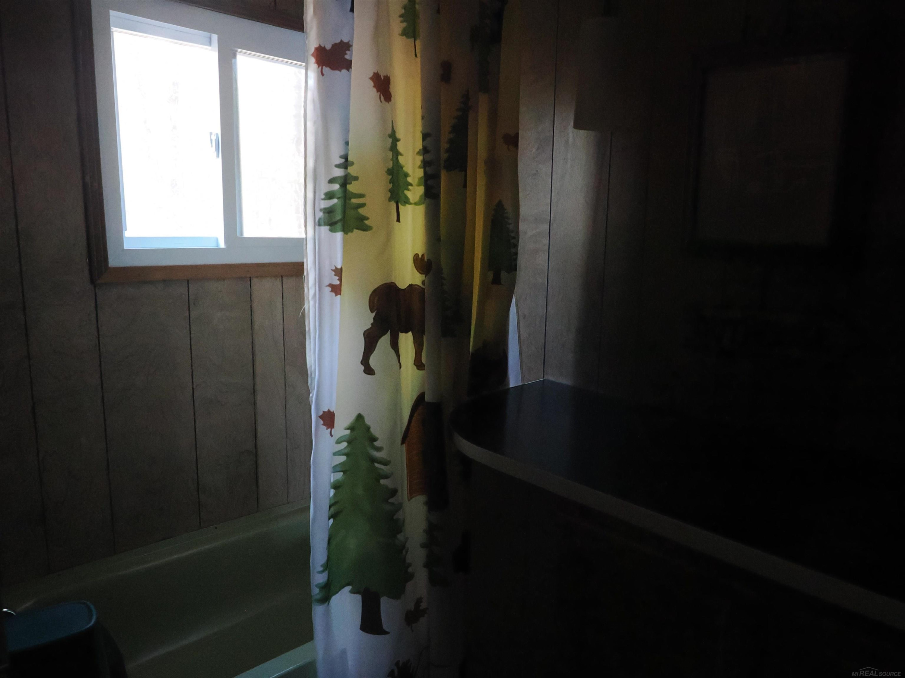 6035 W Sadlers Loop, Seney, MI 49883 — Photo 12