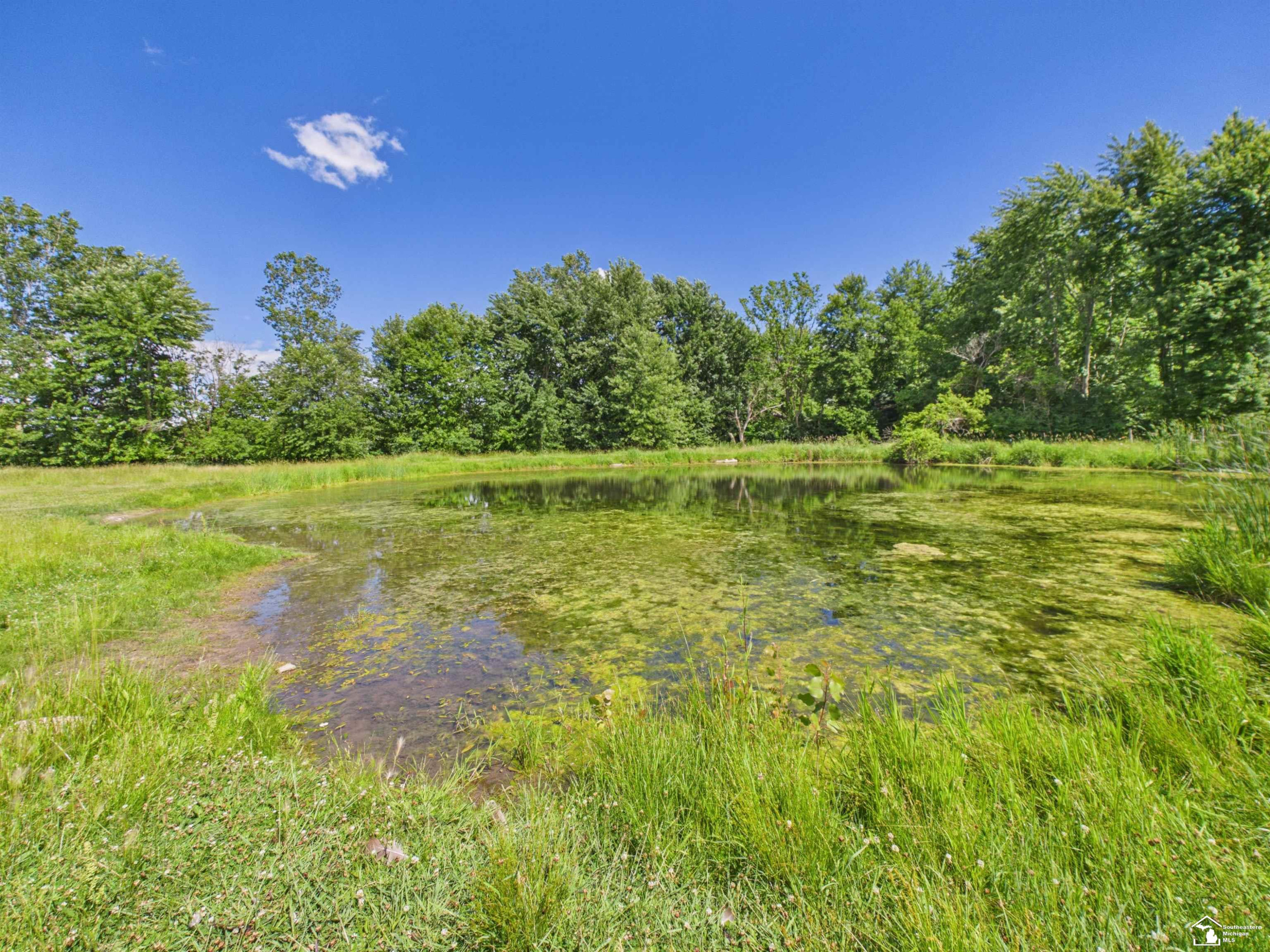 6068 Talladay Road, Milan, MI 48160 — Photo 67