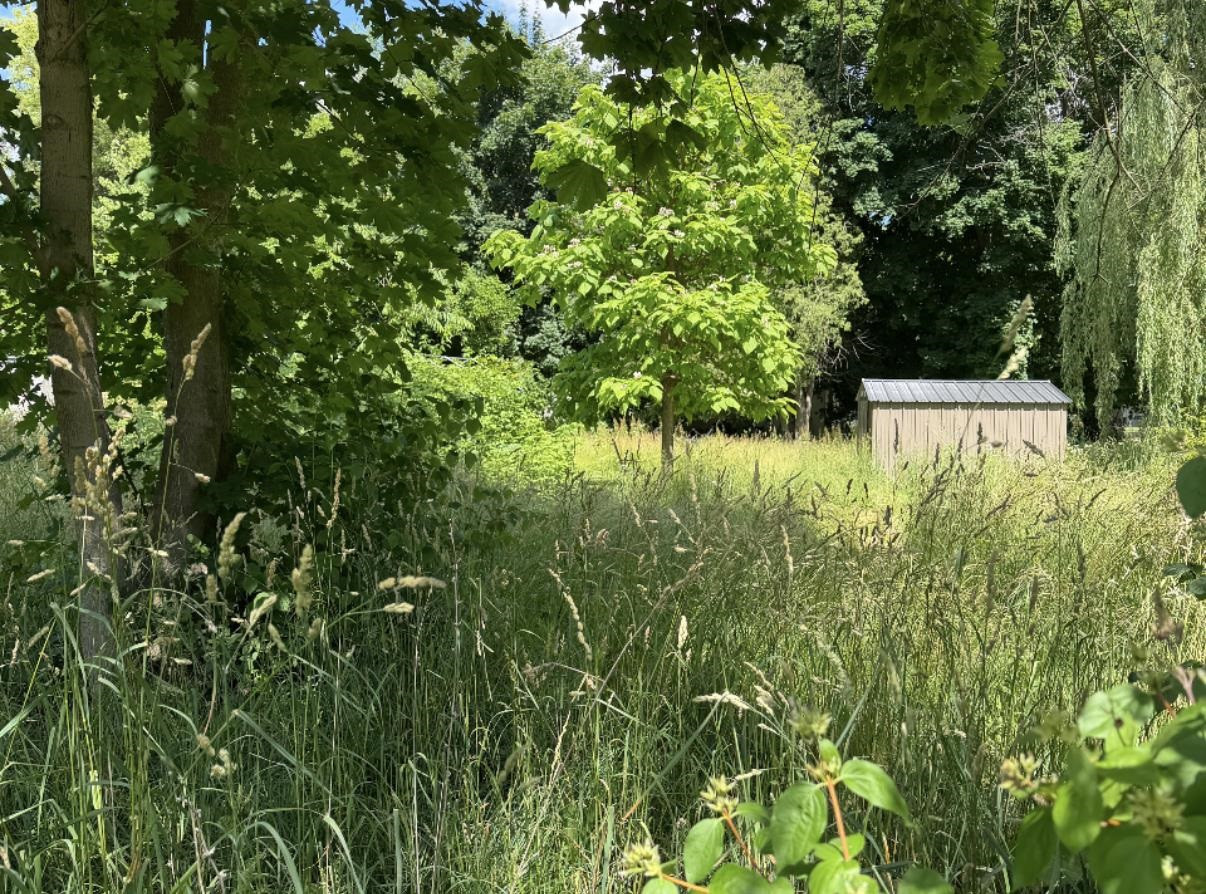 5424 orleans Road, Orleans, MI 48865 — Photo 10