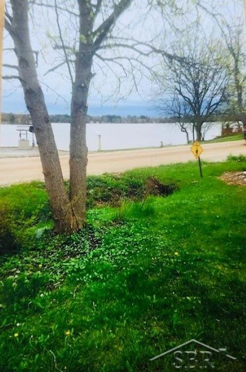 5456 Mangus Road, Beaverton, MI 48612 — Photo 5