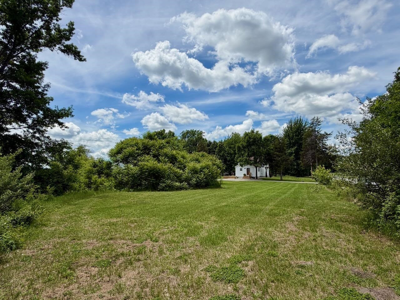 12301 Niblok Road, Chesaning, MI 48616 — Photo 8