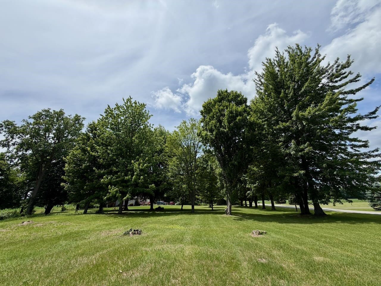 12301 Niblok Road, Chesaning, MI 48616 — Photo 9