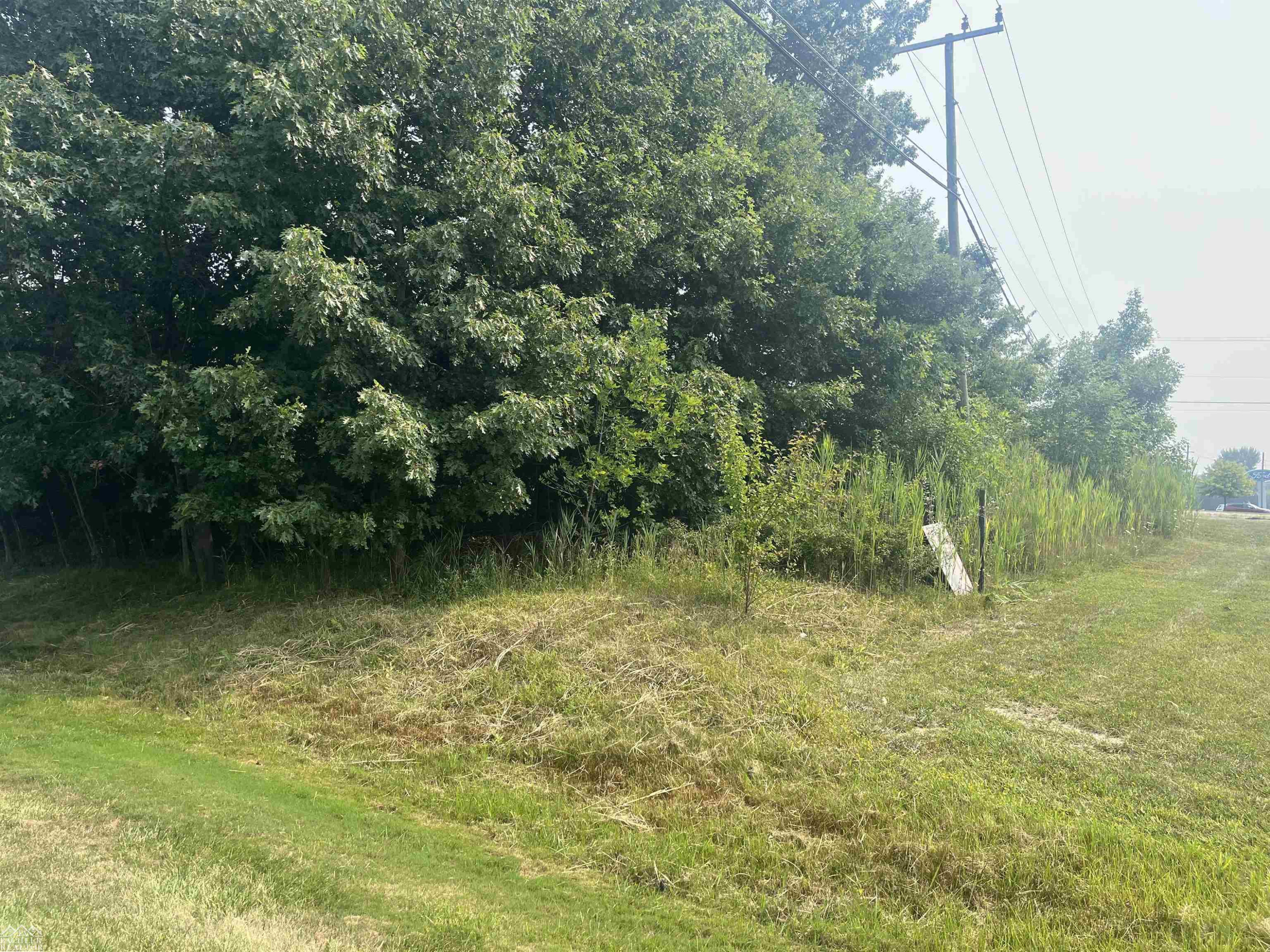 Vacant Fred W Moore Highway, Vacant Fred Moore Hwy, MI 48079 — Photo 2