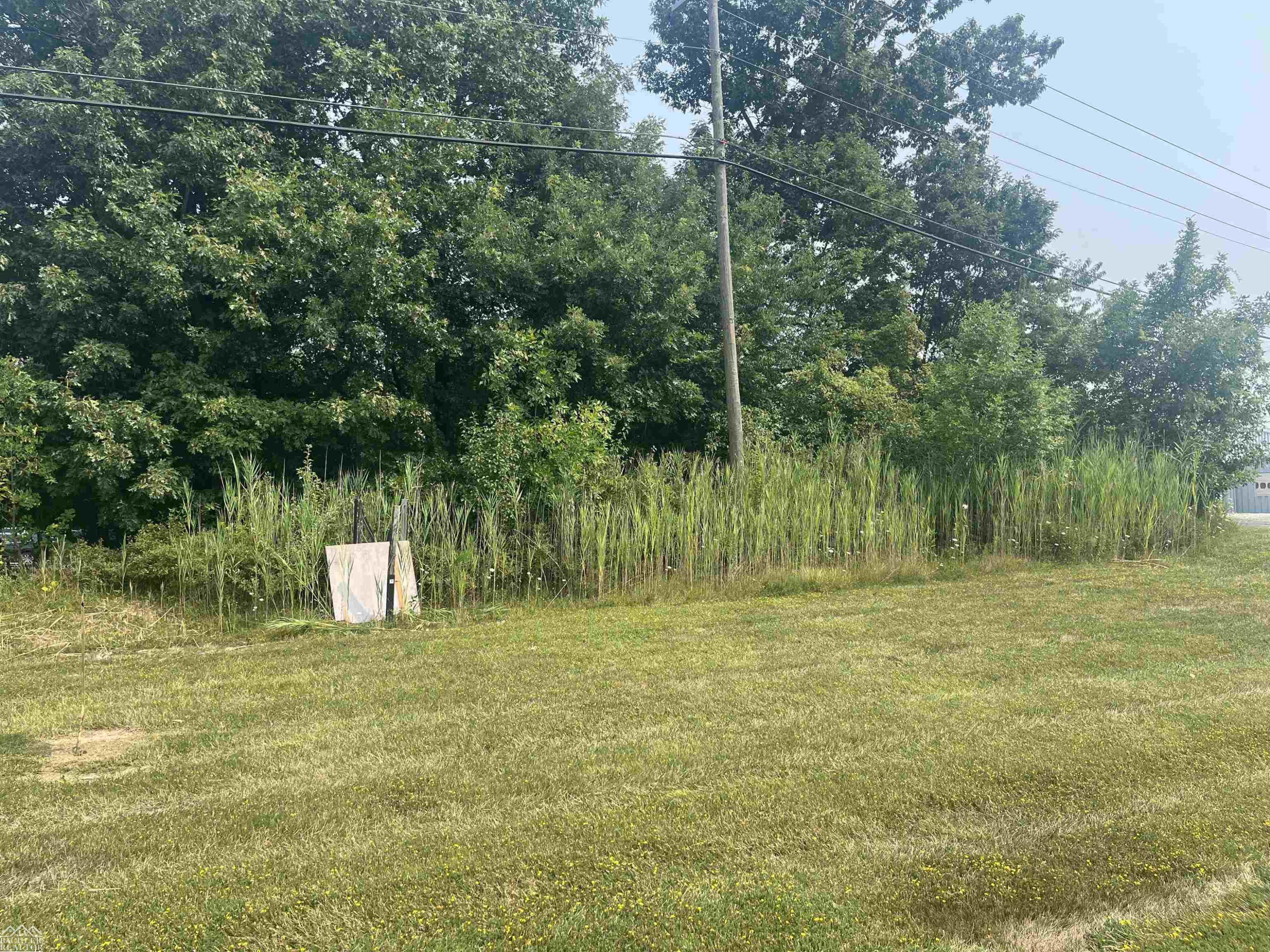 Vacant Fred W Moore Highway, Vacant Fred Moore Hwy, MI 48079 — Photo 3