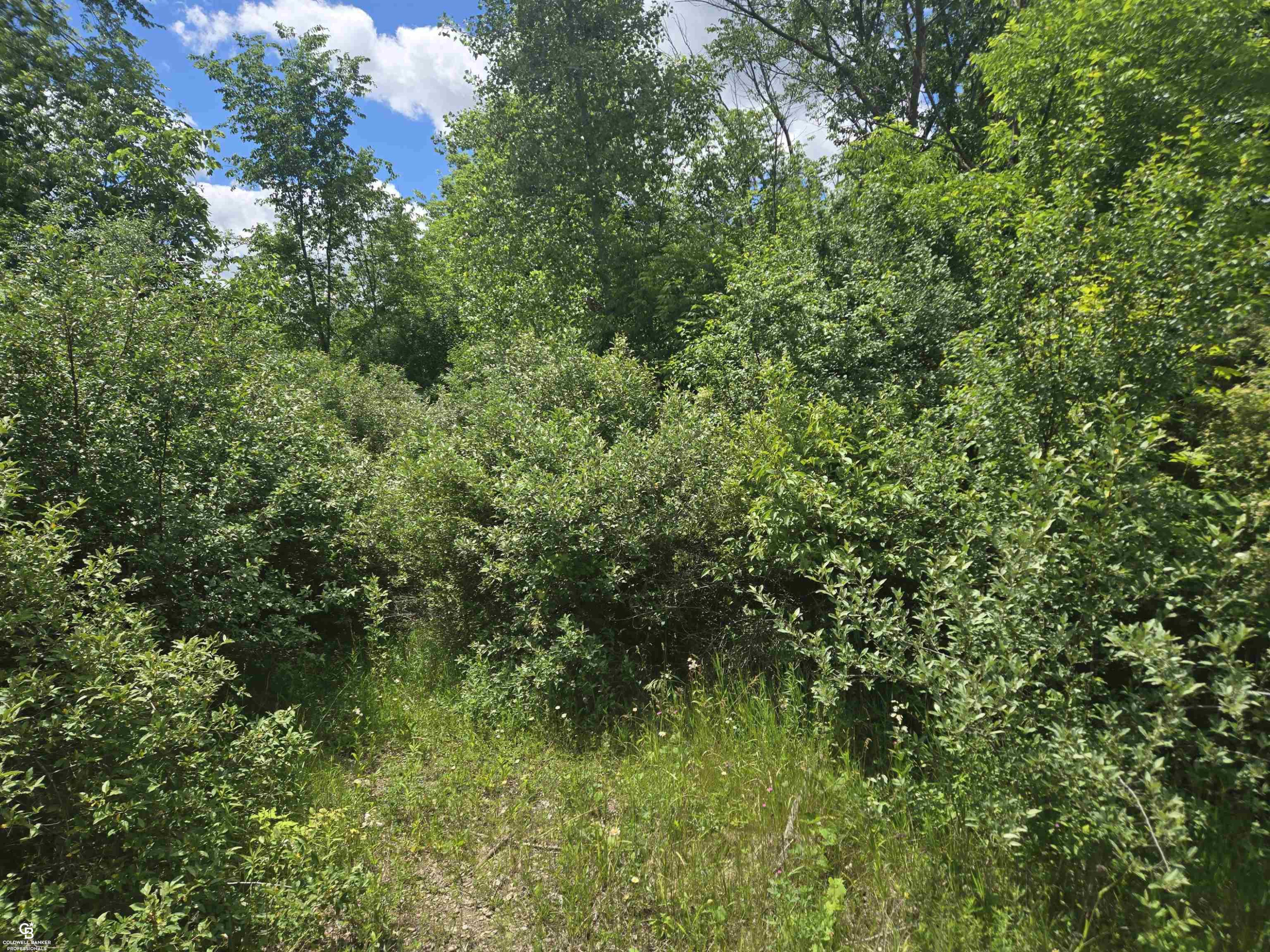 5767 Emmett VL Road, Emmett, MI 48022 — Photo 7