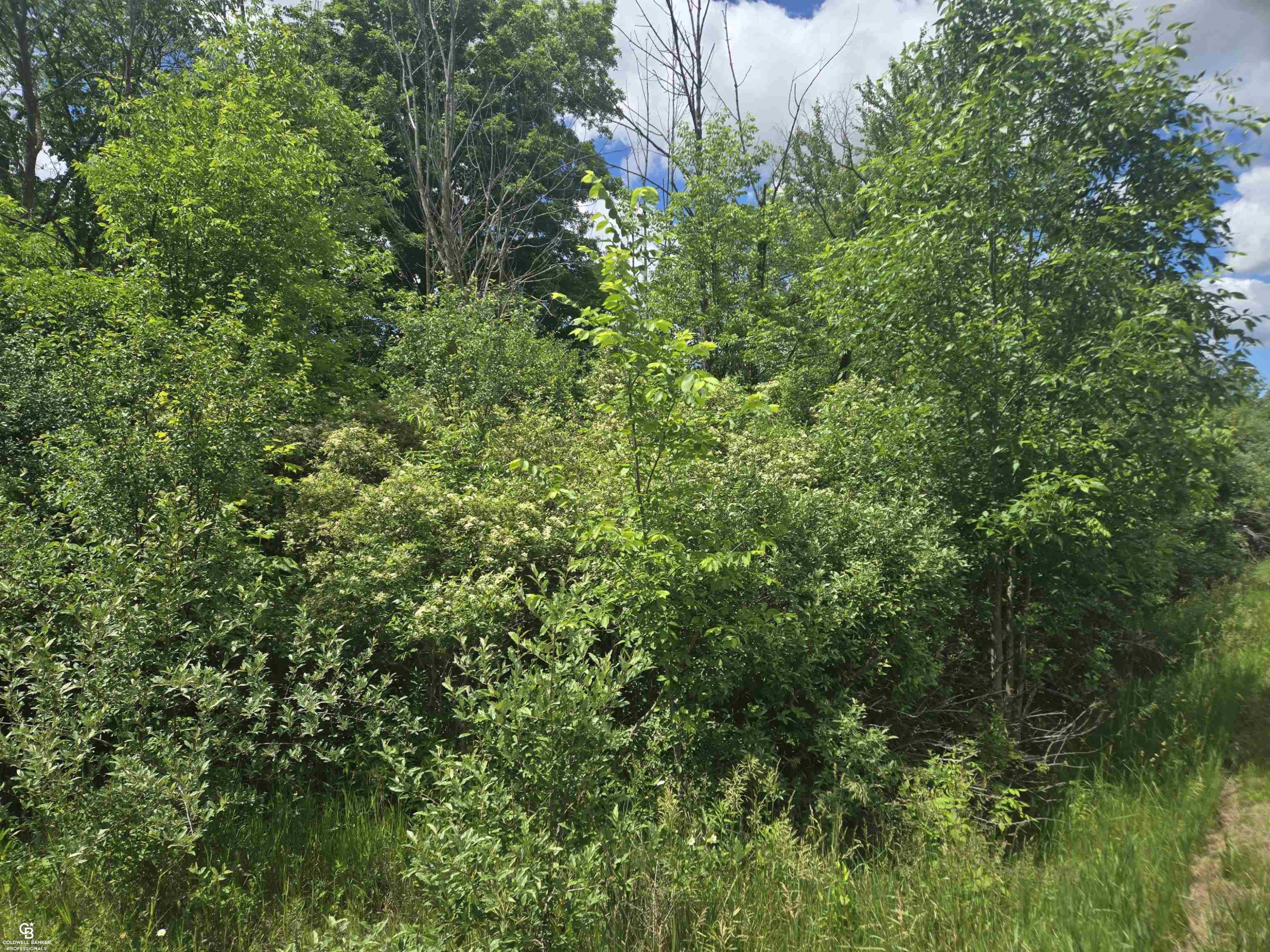 5767 Emmett VL Road, Emmett, MI 48022 — Photo 8