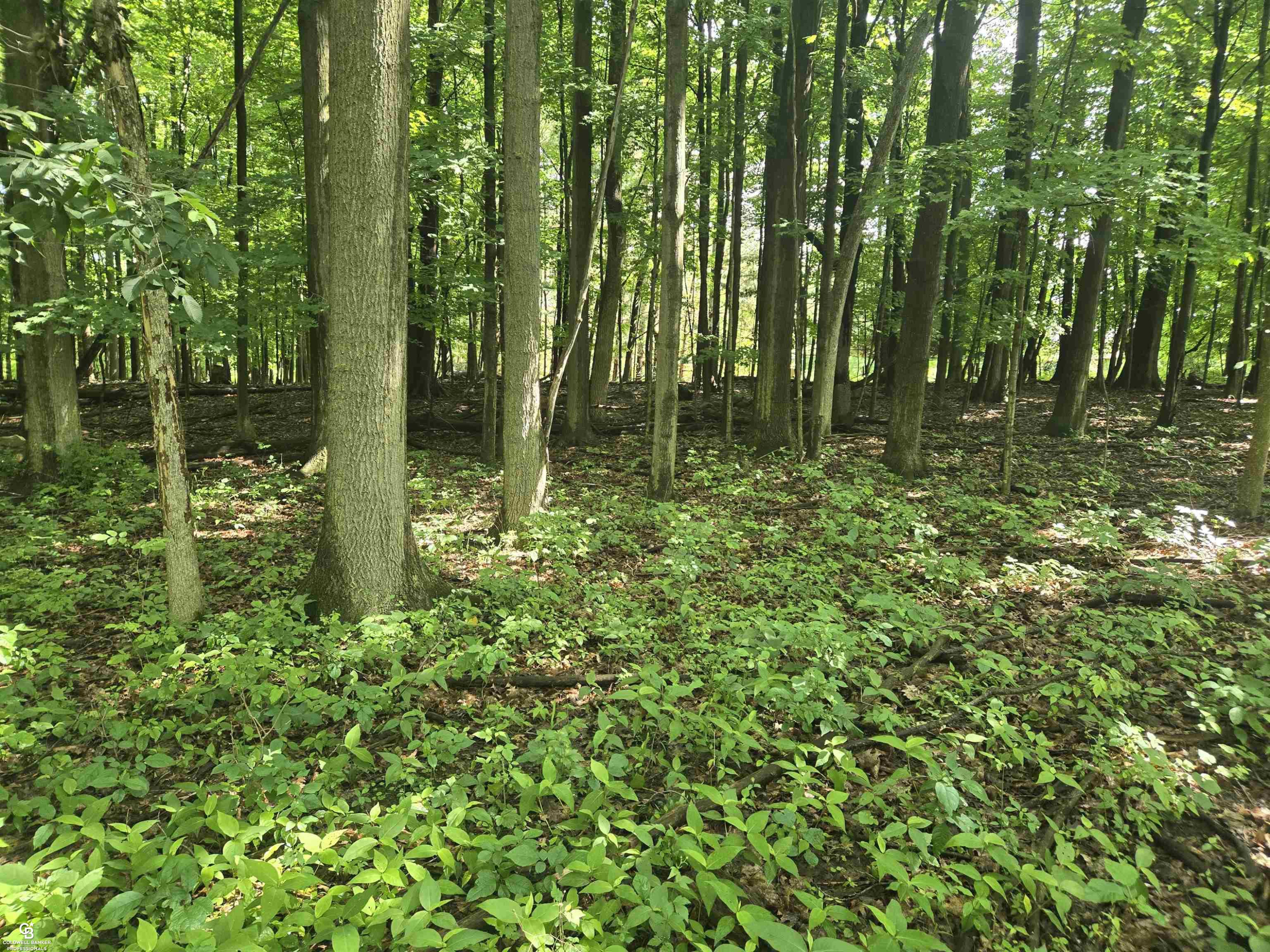 5767 Emmett VL Road, Emmett, MI 48022 — Photo 10