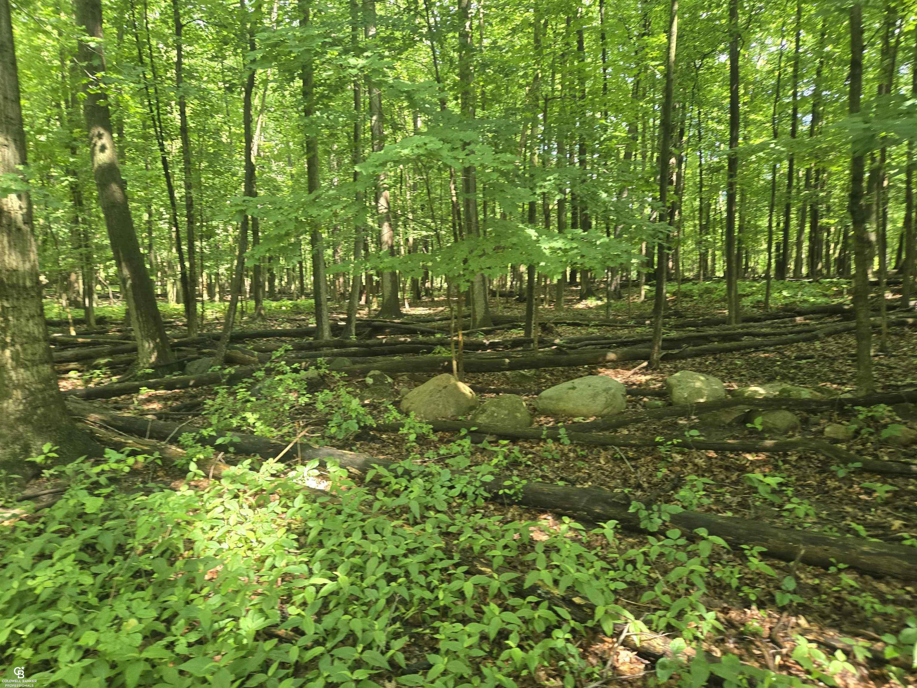 5767 Emmett VL Road, Emmett, MI 48022 — Photo 11