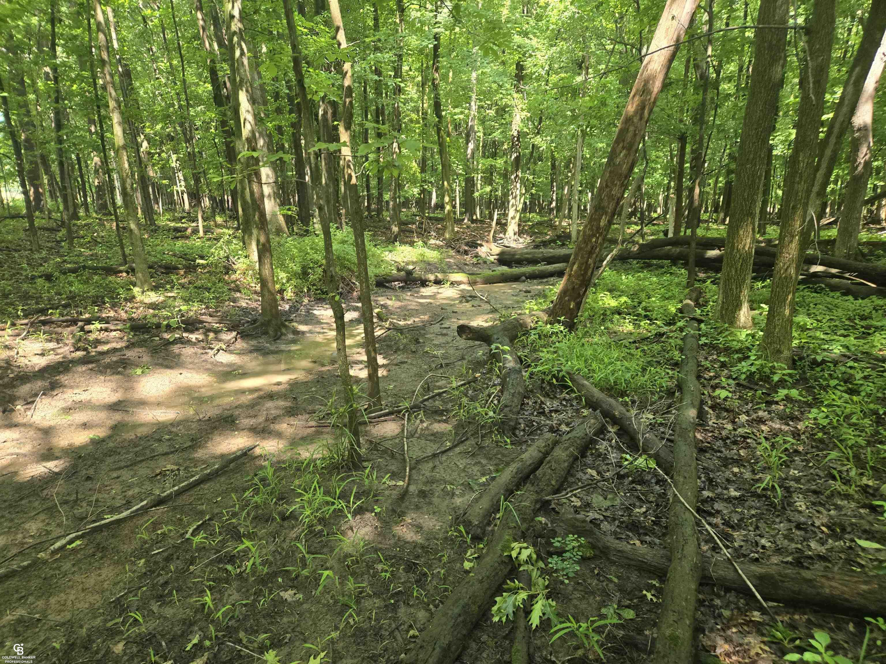 5767 Emmett VL Road, Emmett, MI 48022 — Photo 12