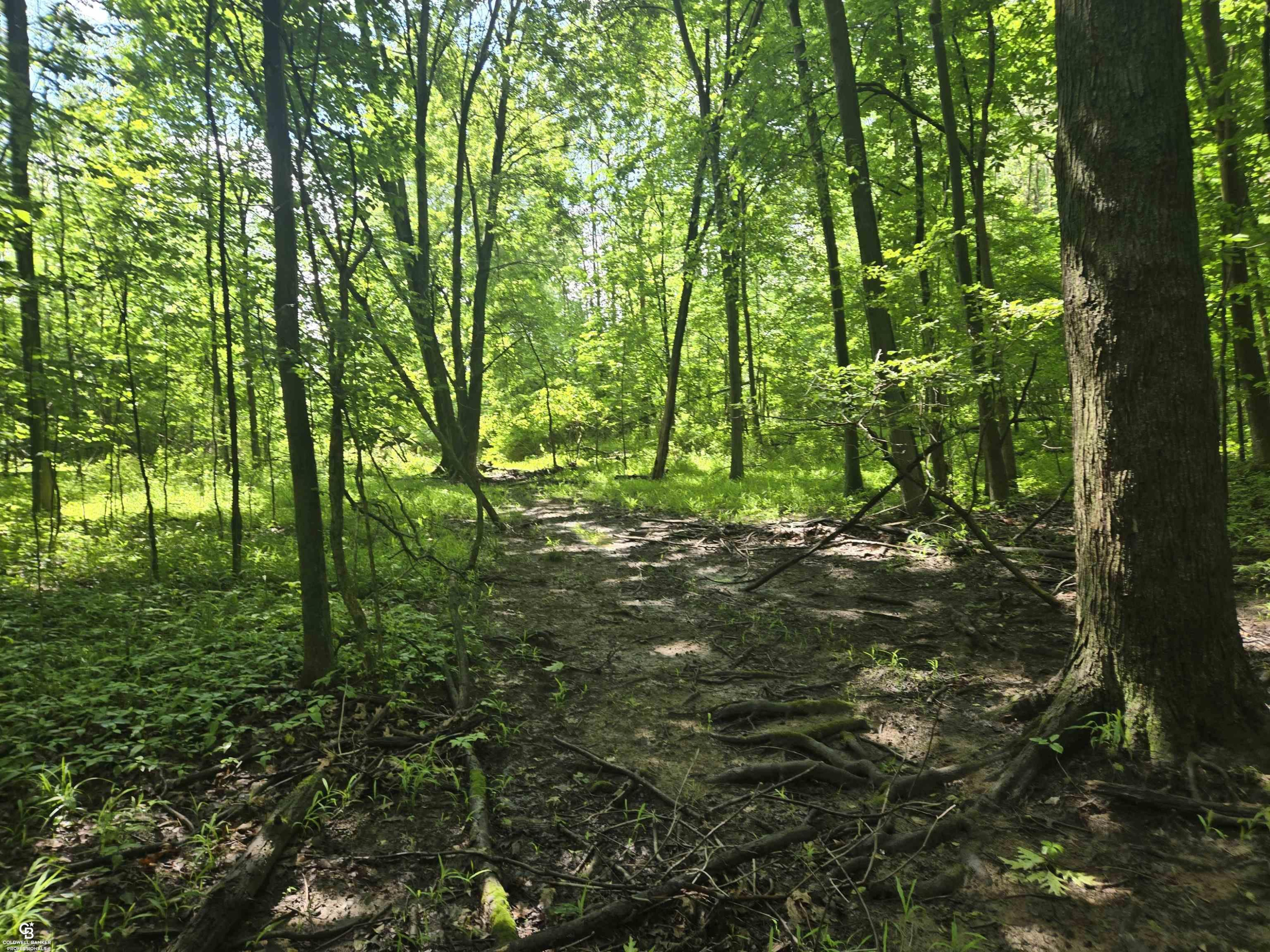 5767 Emmett VL Road, Emmett, MI 48022 — Photo 13