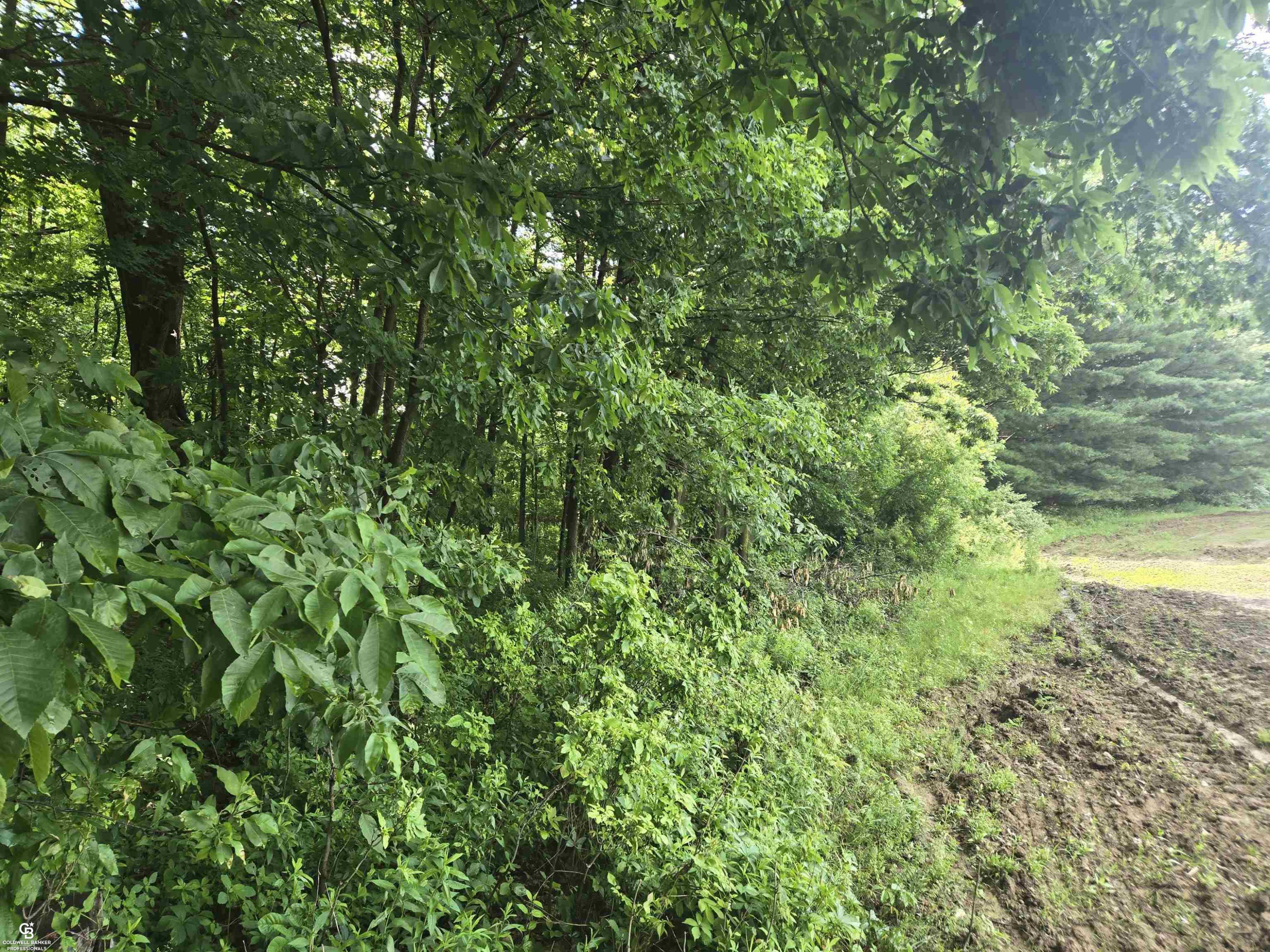 5767 Emmett VL Road, Emmett, MI 48022 — Photo 14