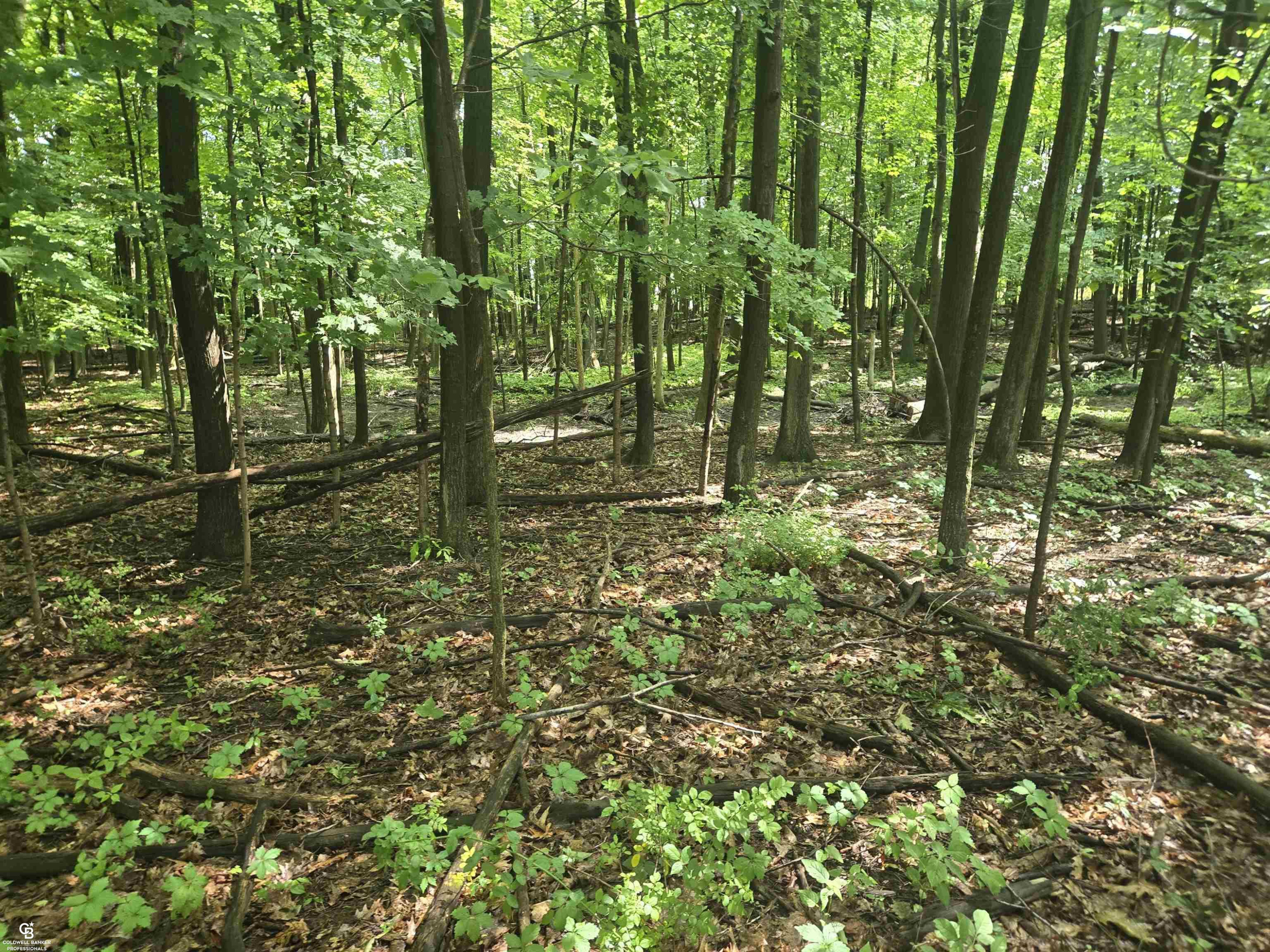 5767 Emmett VL Road, Emmett, MI 48022 — Photo 15