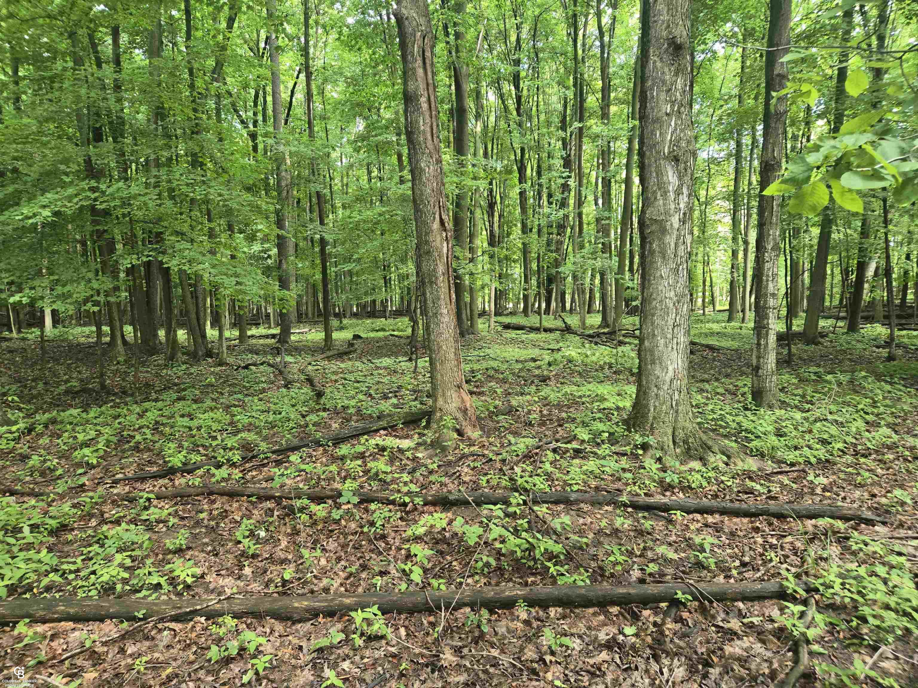 5767 Emmett VL Road, Emmett, MI 48022 — Photo 16