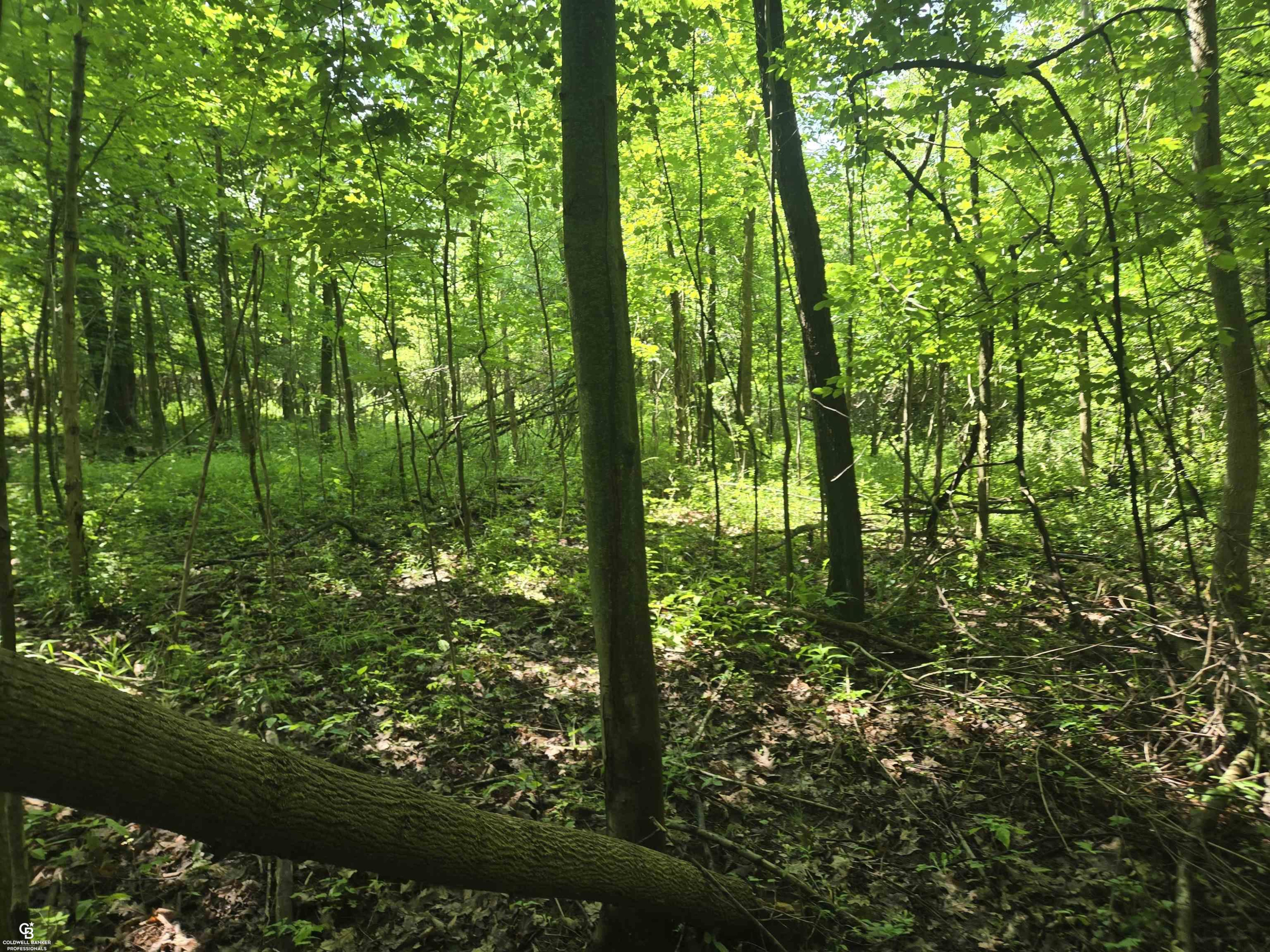 5767 Emmett VL Road, Emmett, MI 48022 — Photo 17