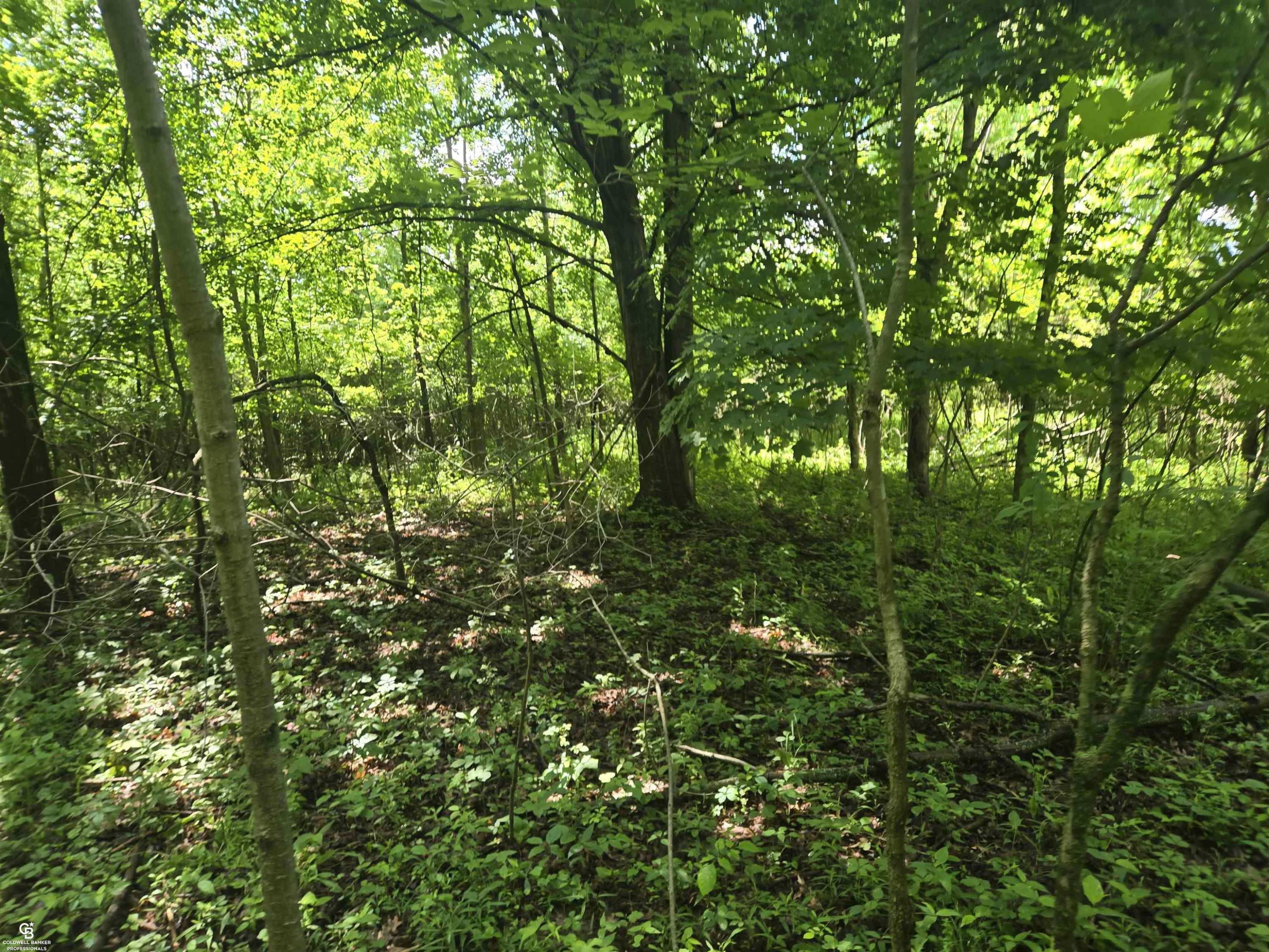 5767 Emmett VL Road, Emmett, MI 48022 — Photo 18