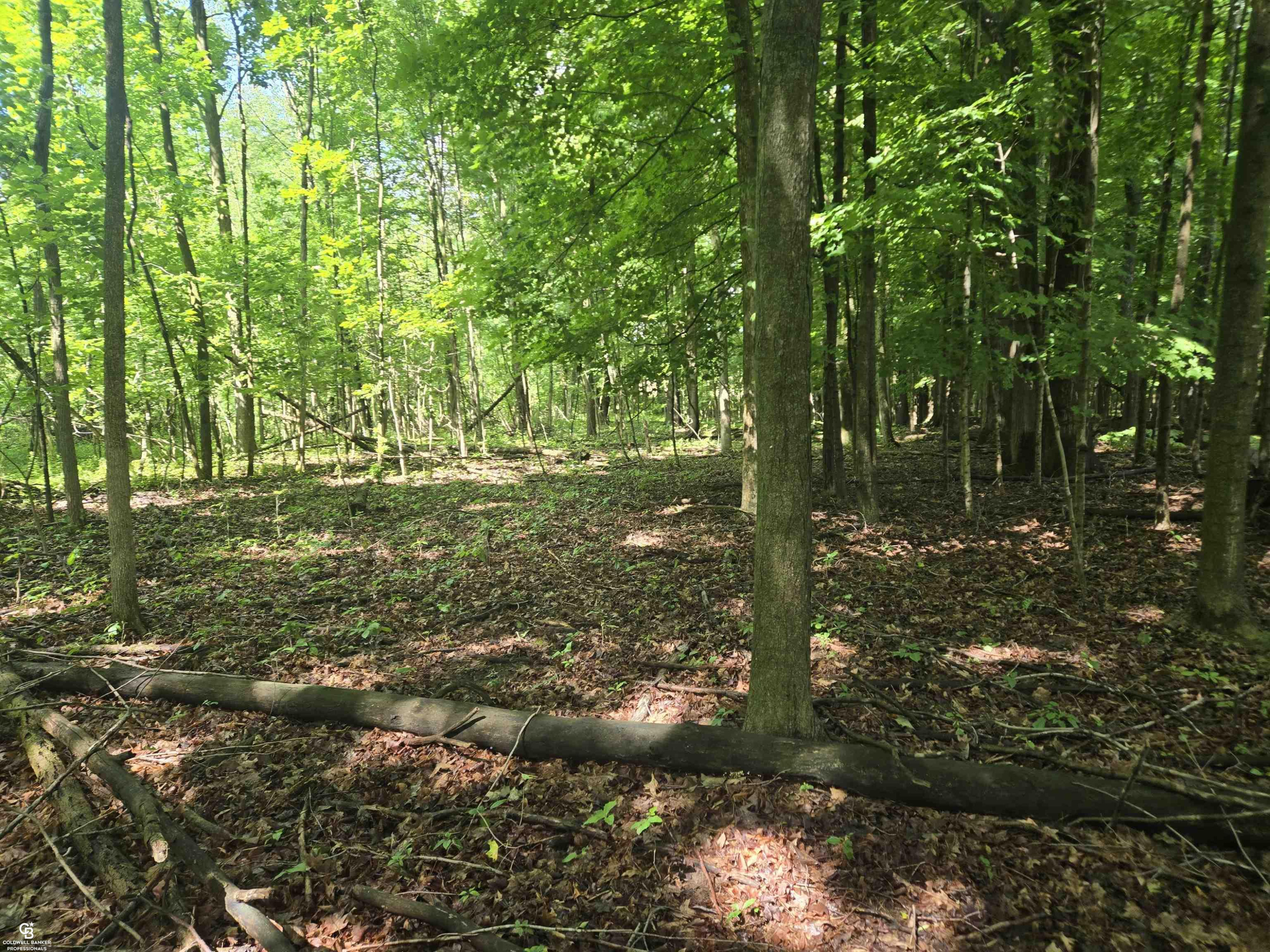5767 Emmett VL Road, Emmett, MI 48022 — Photo 20