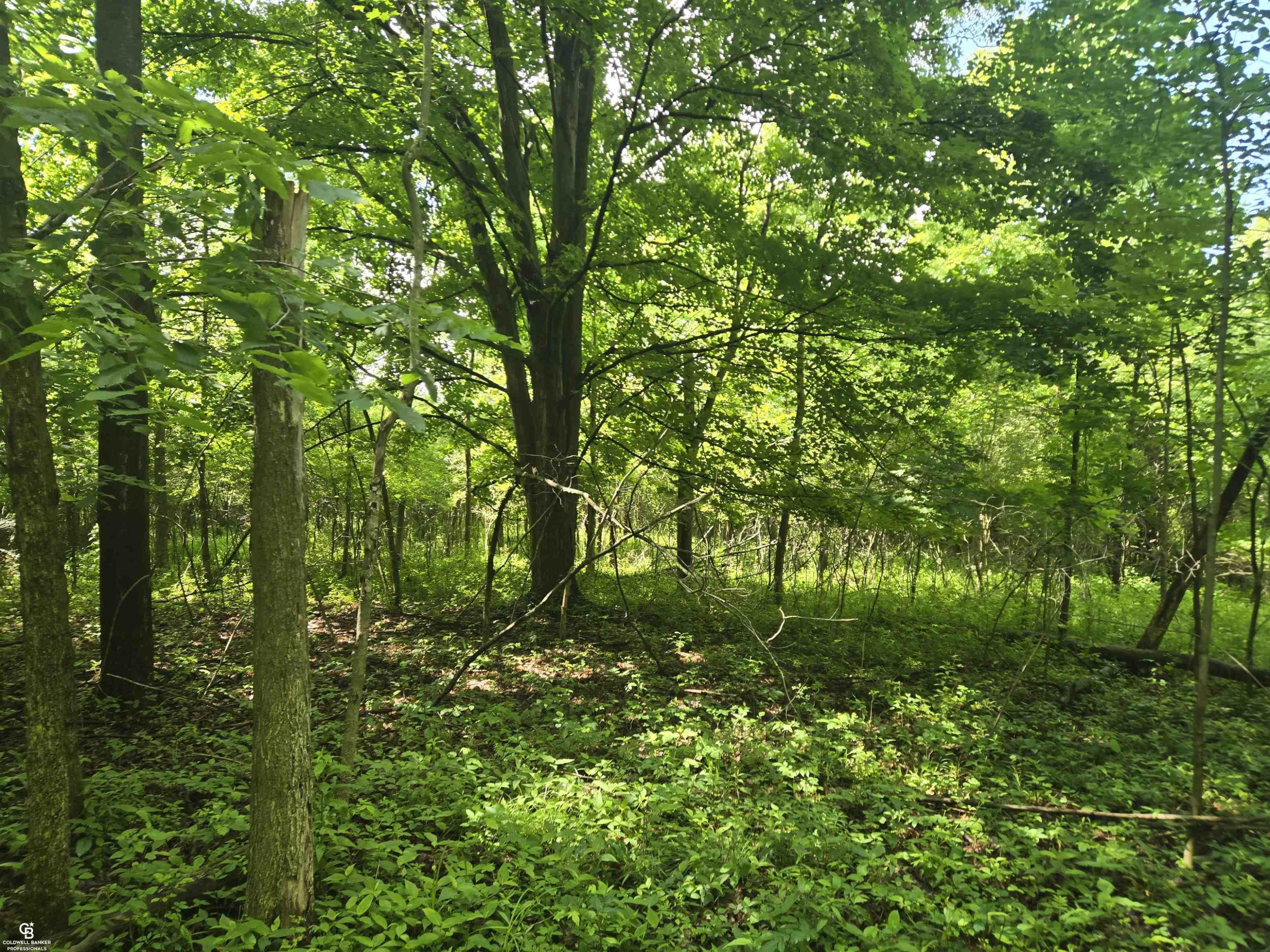 5767 Emmett VL Road, Emmett, MI 48022 — Photo 21