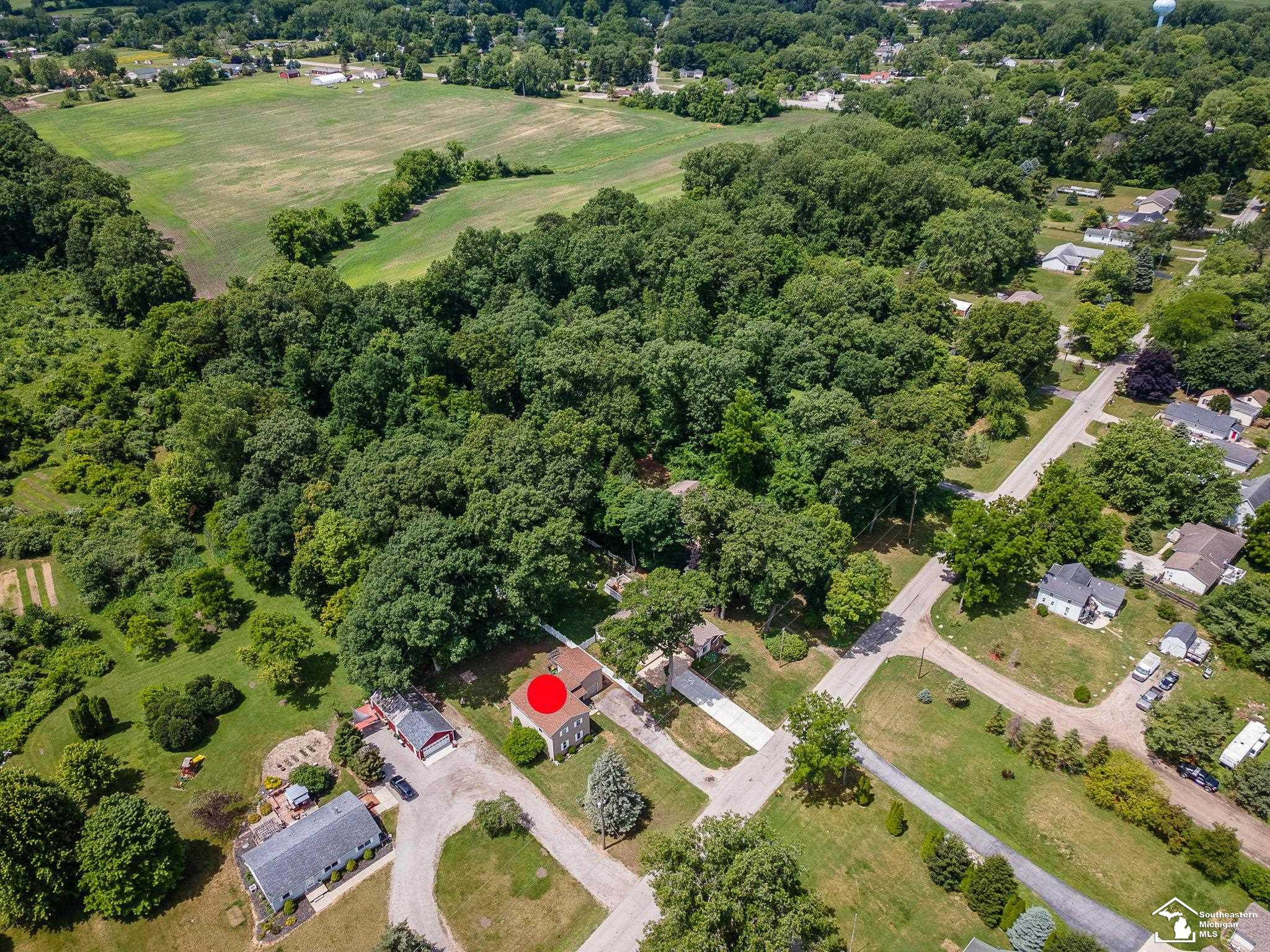 3881 E Stein Road, La Salle, MI — Photo 41