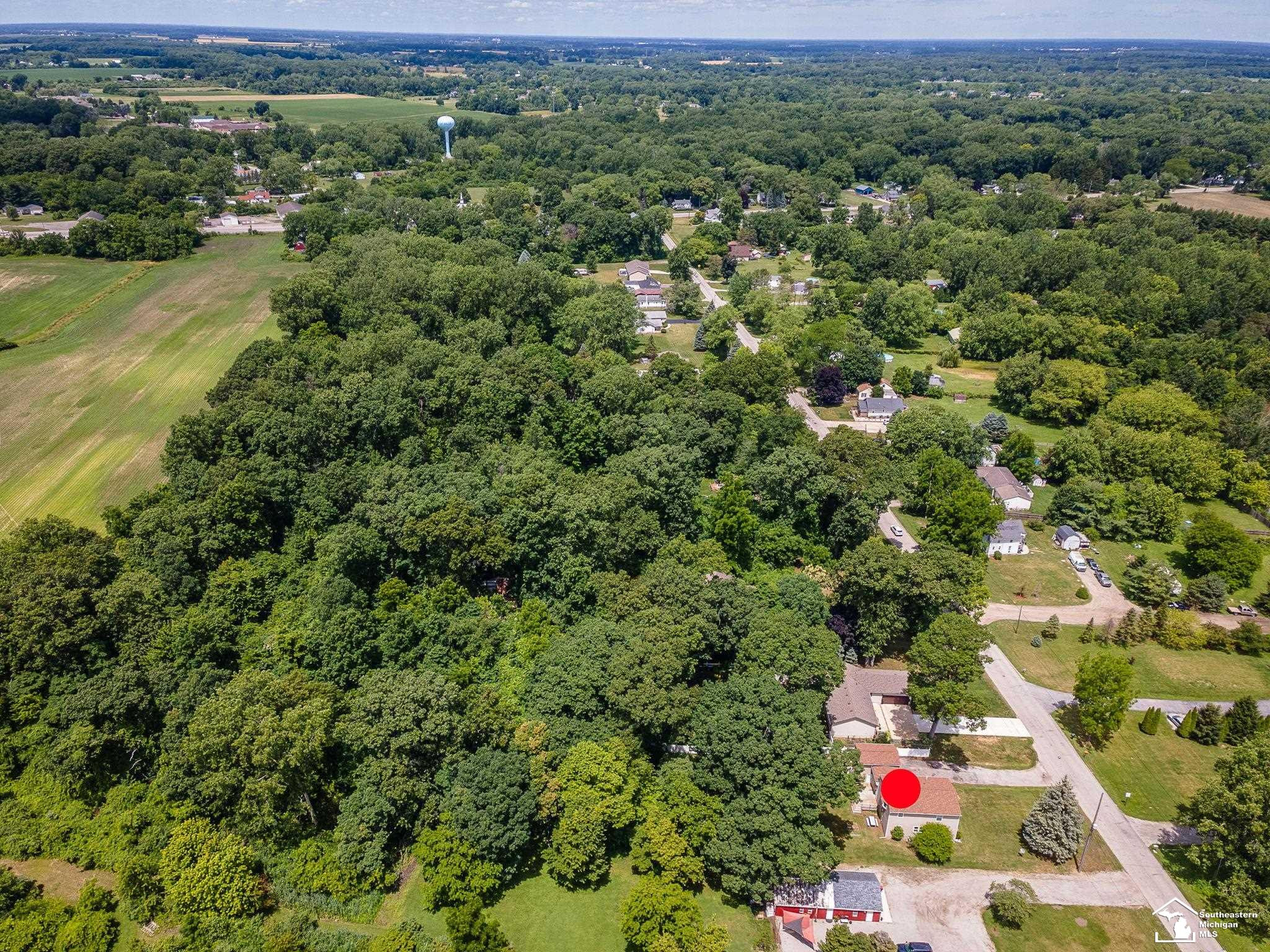 3881 E Stein Road, La Salle, MI — Photo 42