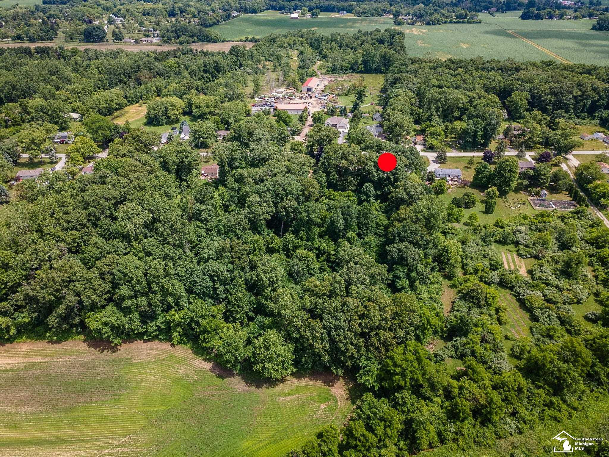 3881 E Stein Road, La Salle, MI — Photo 43