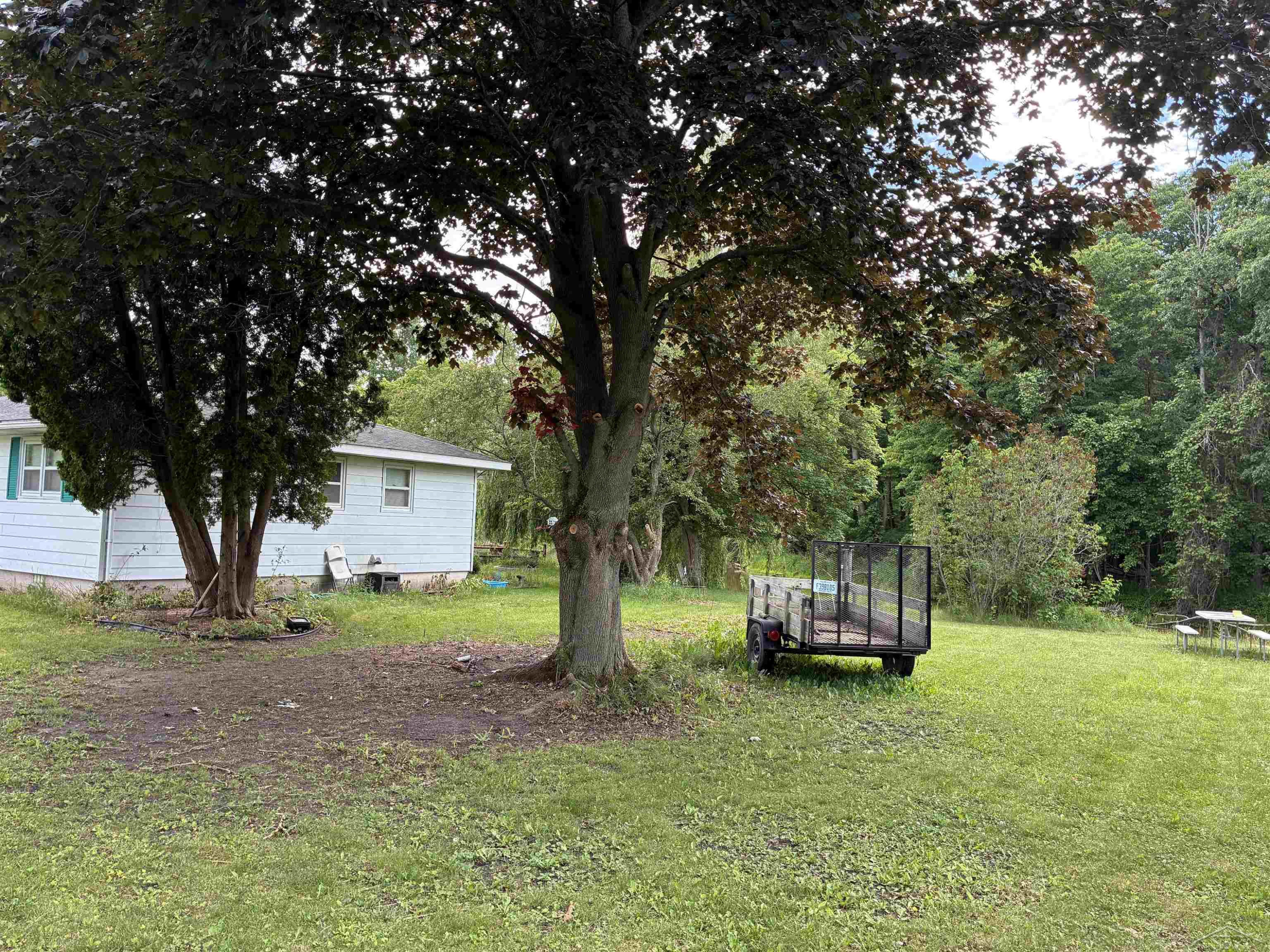 435 N Main Street, Au Gres, MI 48703 — Photo 28