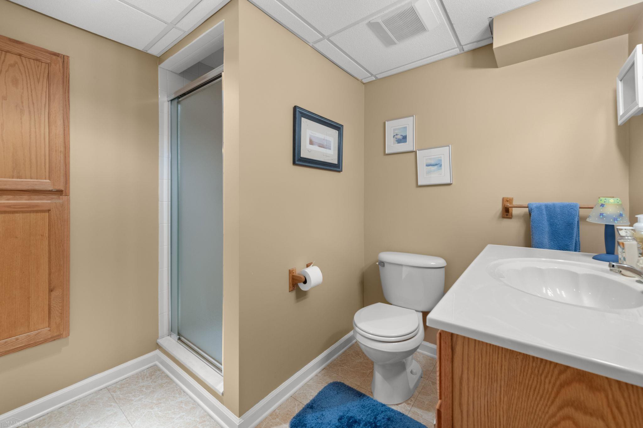 49431 Ferrisburg Court, Shelby Twp, MI 48315 — Photo 27