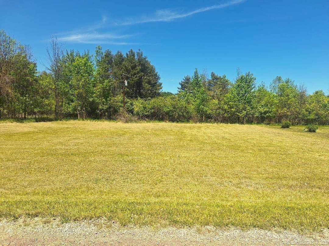 Lot 7 Avalon Circle, Lexington, MI 48450 — front exterior