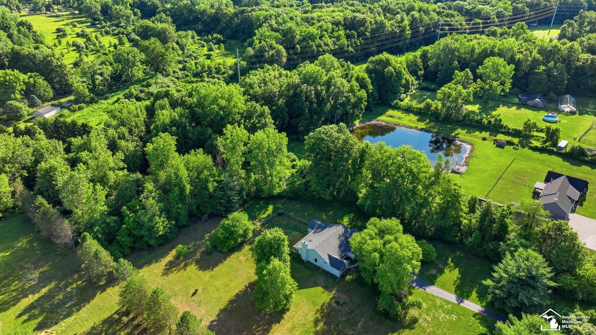 4358 Rauch Road, Petersburg, MI 49270 — Photo 7
