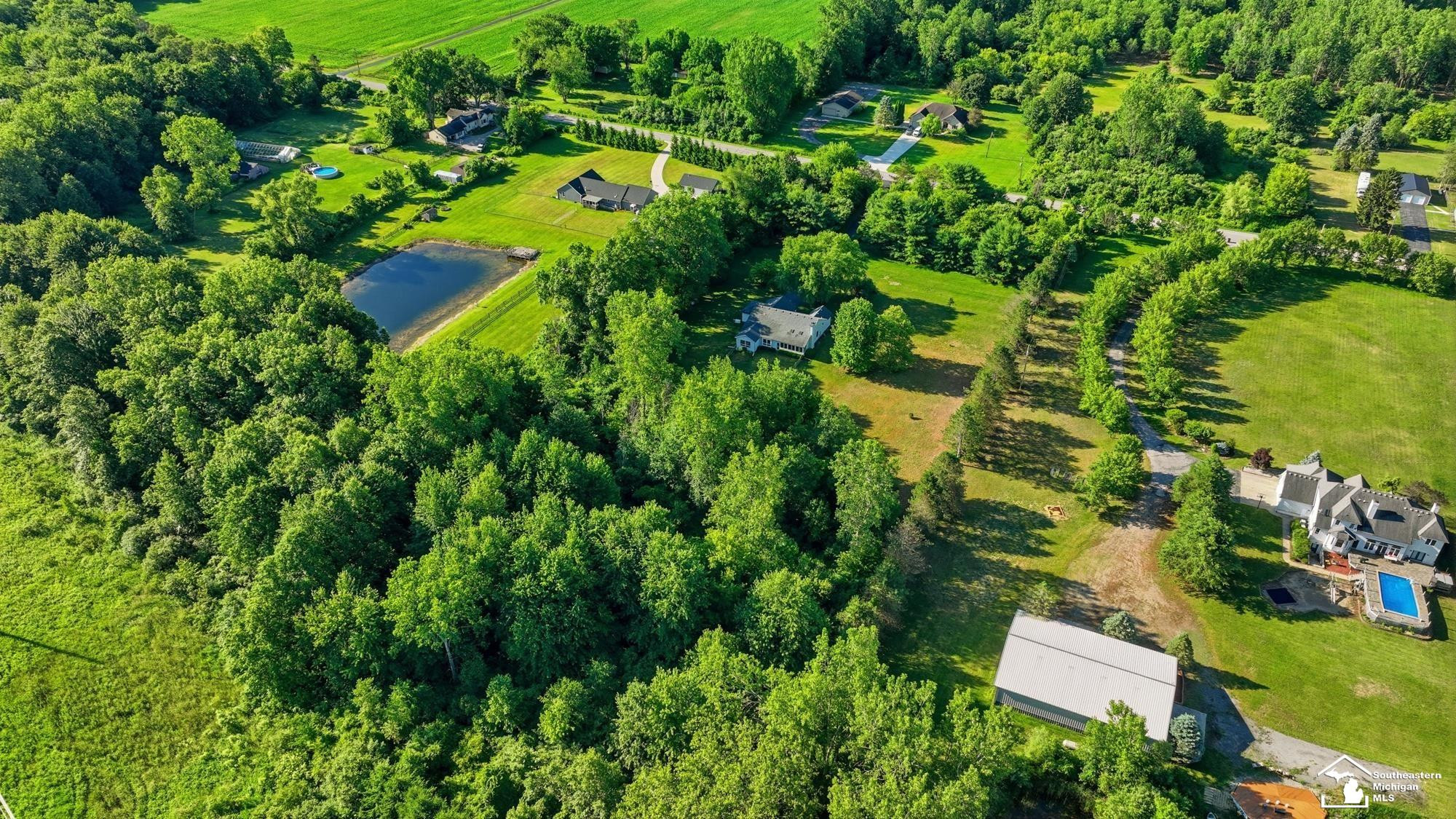 4358 Rauch Road, Petersburg, MI 49270 — Photo 9