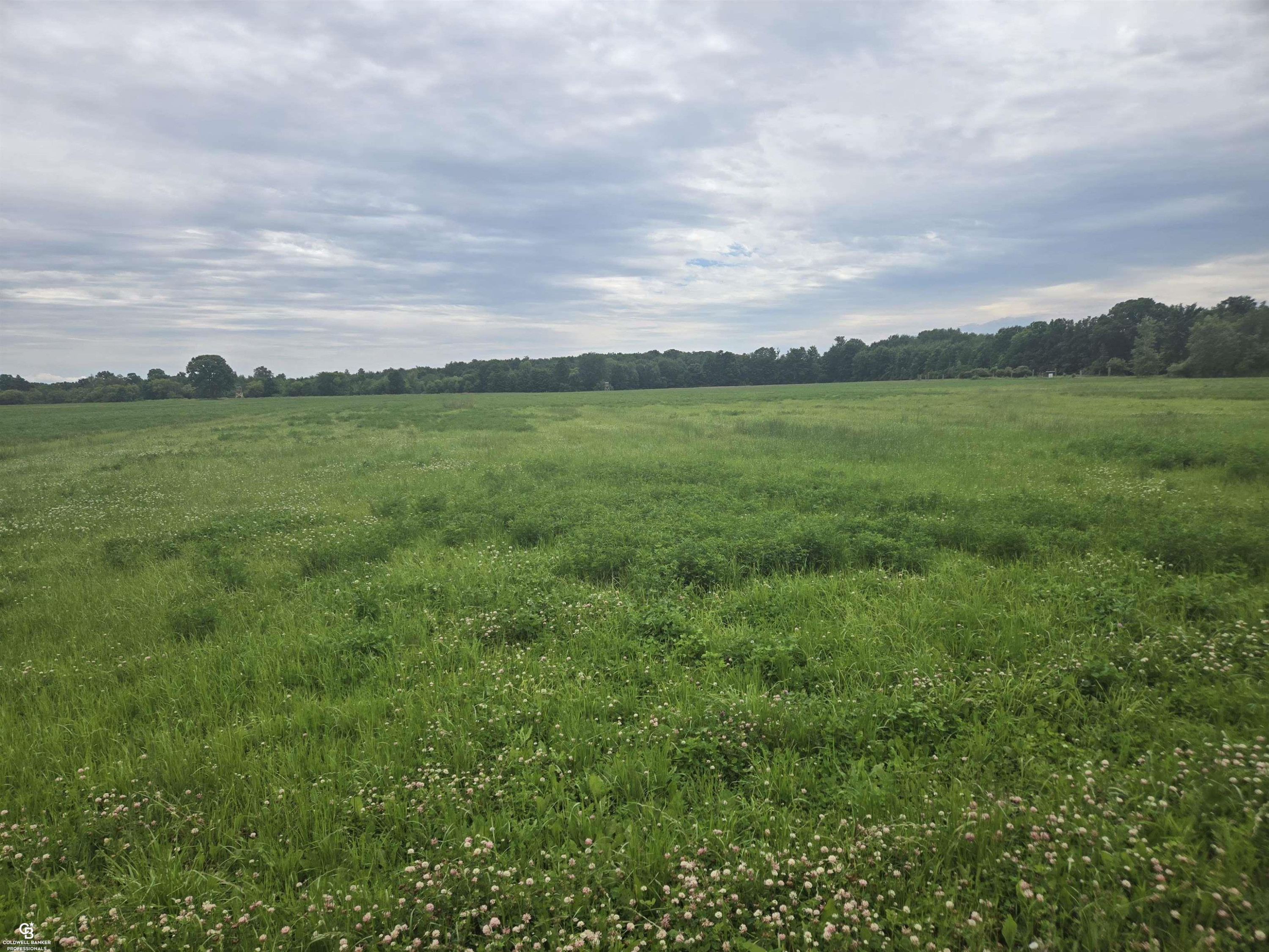 0 Imlay City VL Road, Avoca, MI 48006 — Photo 10