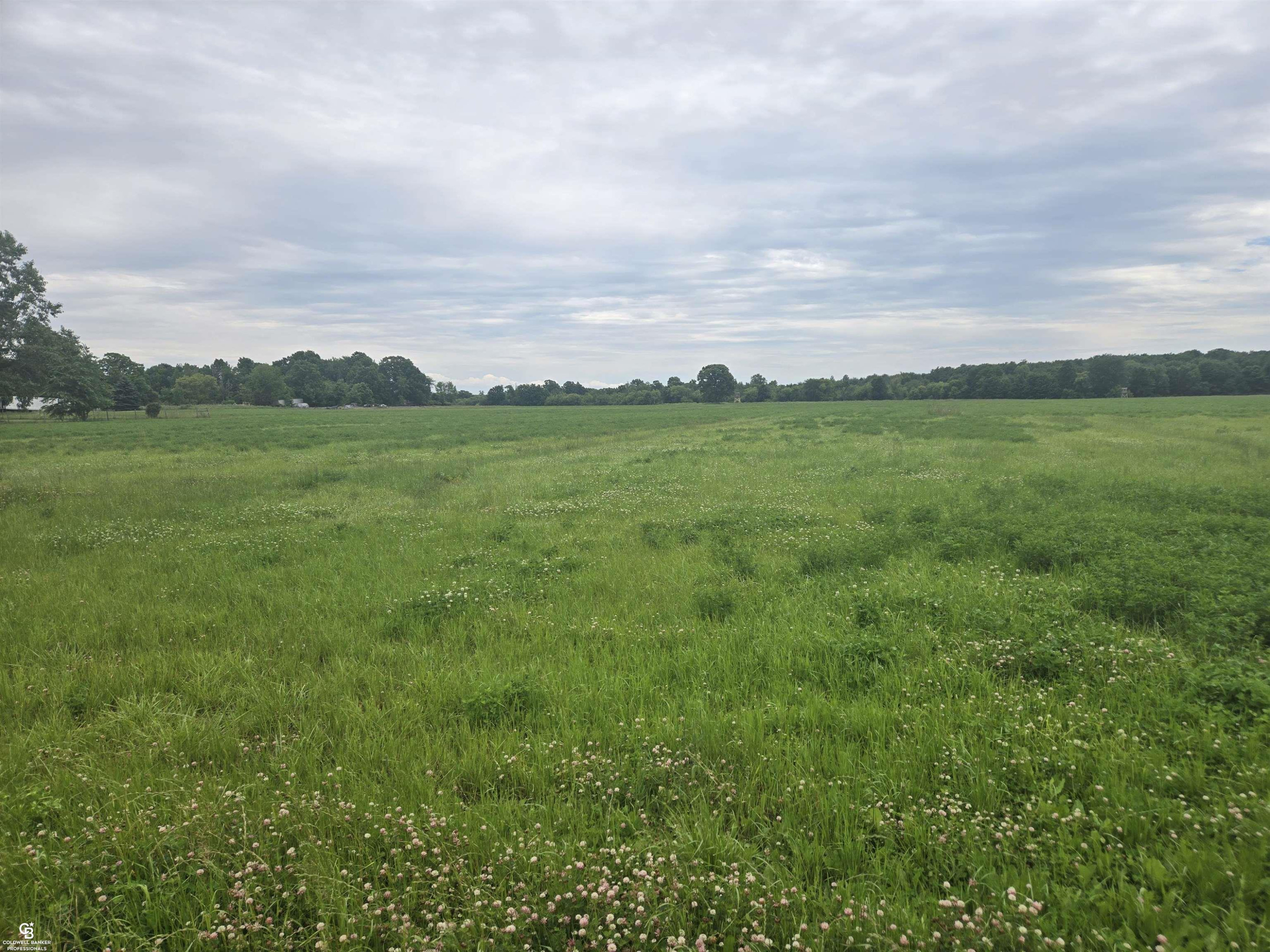 0 Imlay City VL Road, Avoca, MI 48006 — Photo 11