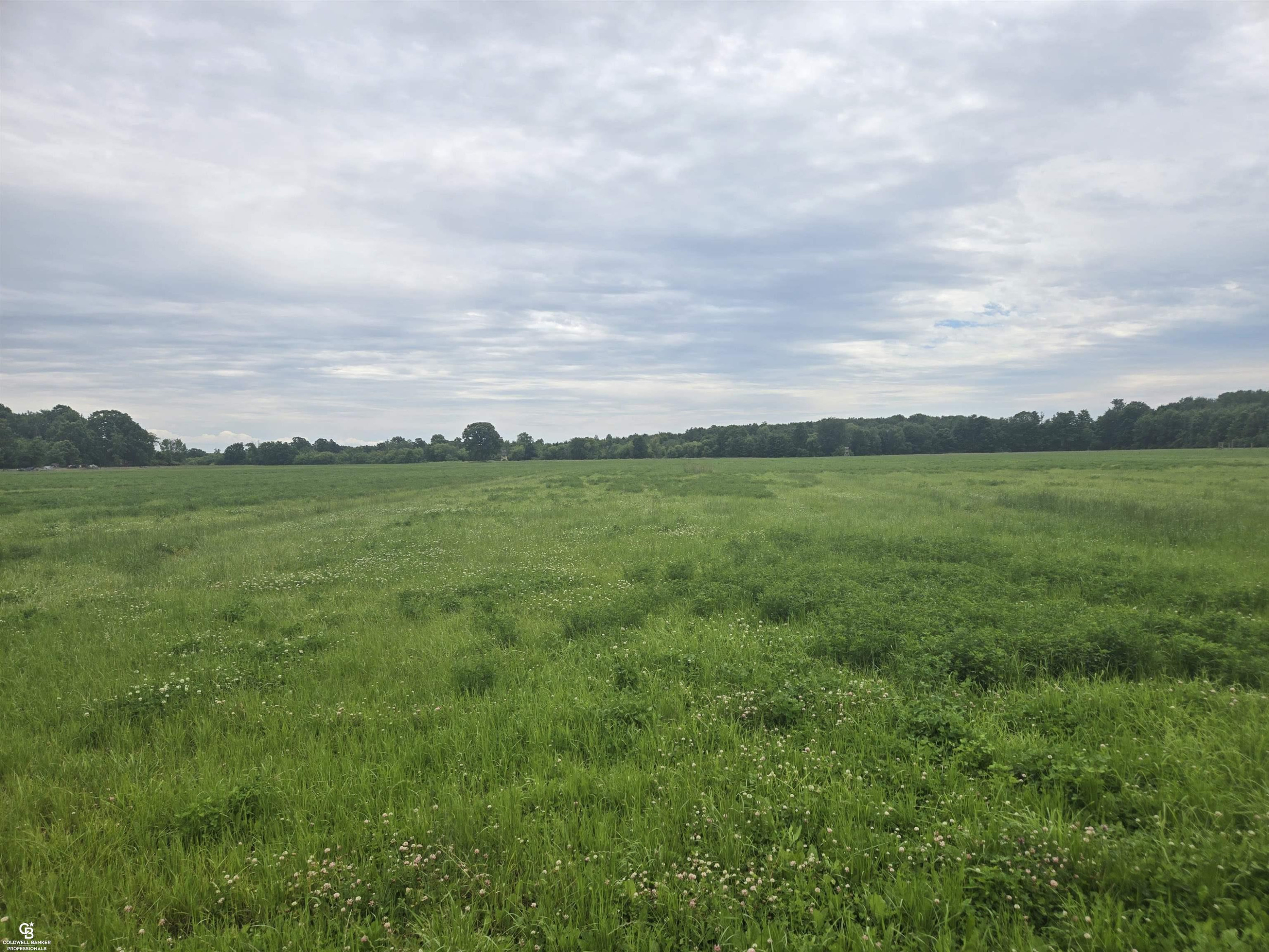 0 Imlay City VL Road, Avoca, MI 48006 — Photo 12