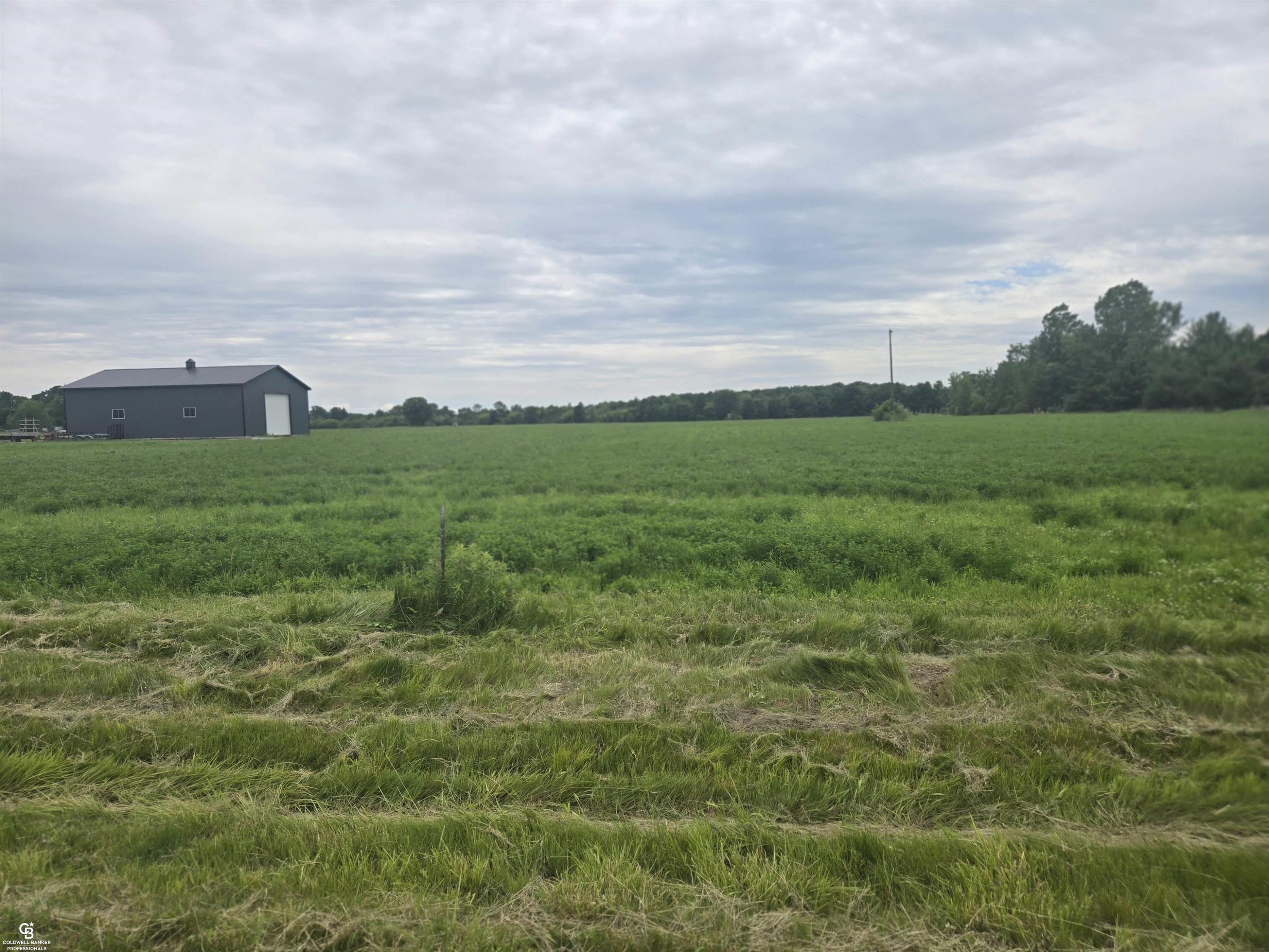 0 Imlay City VL Road, Avoca, MI 48006 — Photo 14