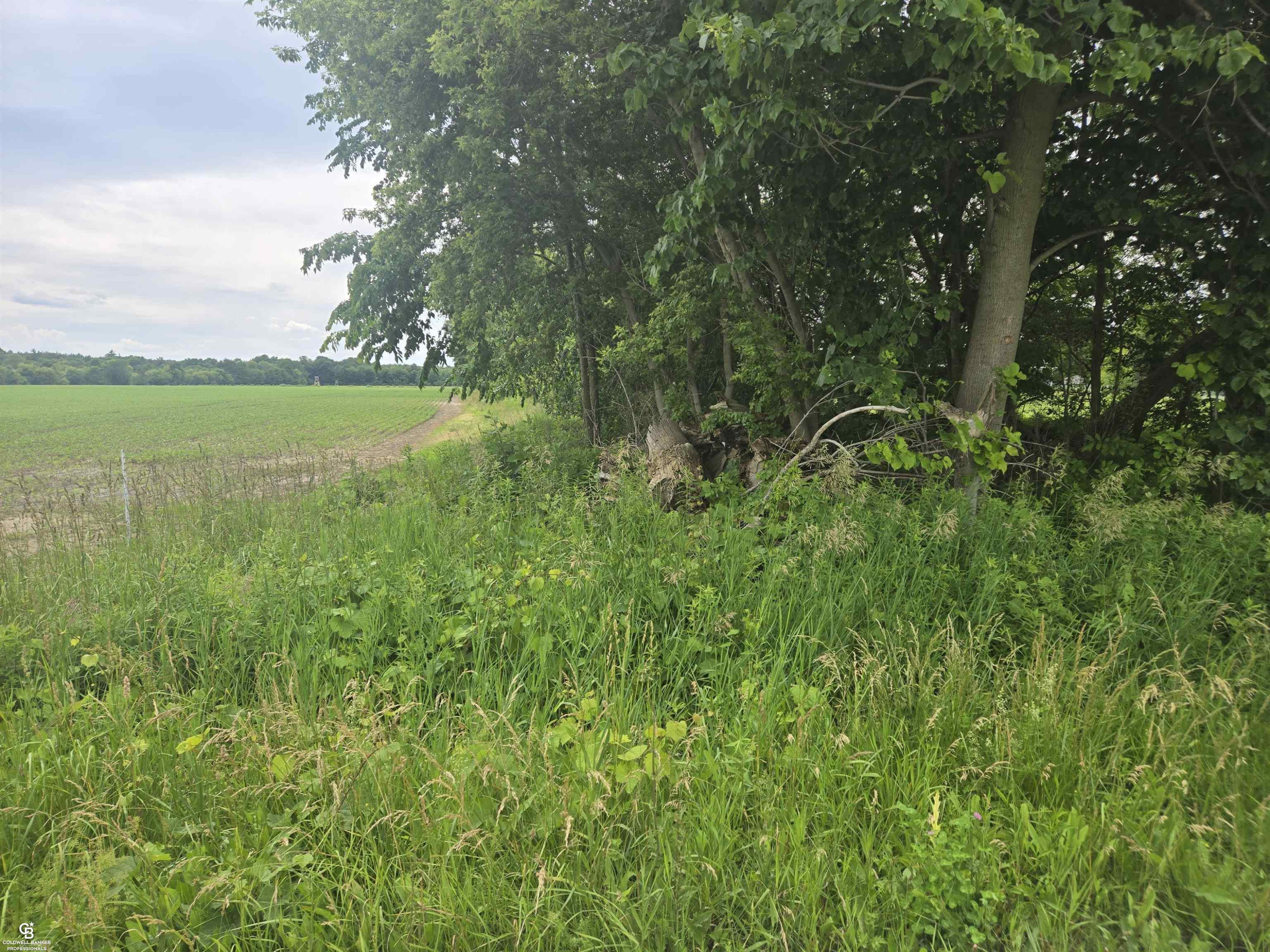0 Imlay City VL Road, Avoca, MI 48006 — Photo 15