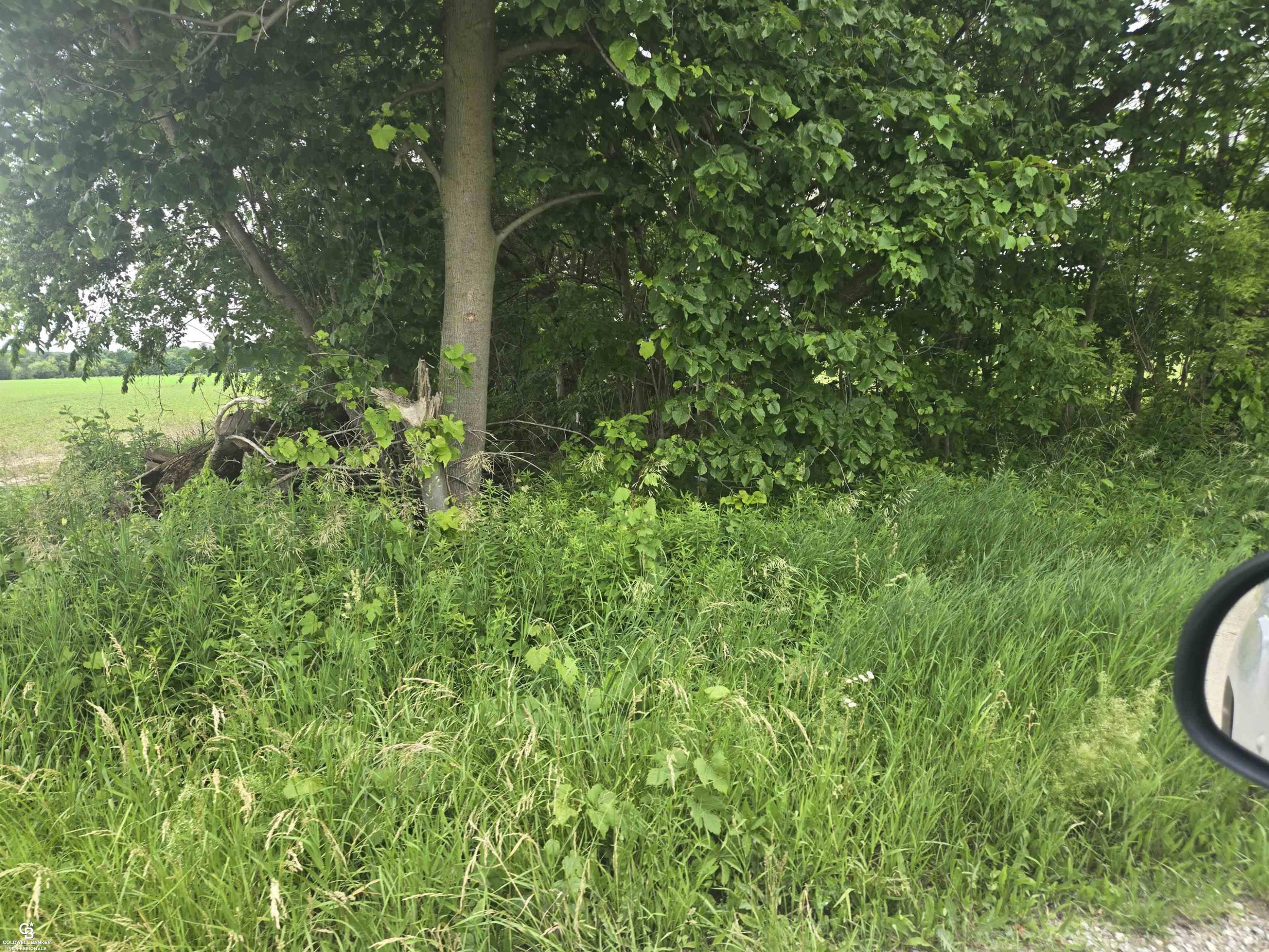 0 Imlay City VL Road, Avoca, MI 48006 — Photo 16