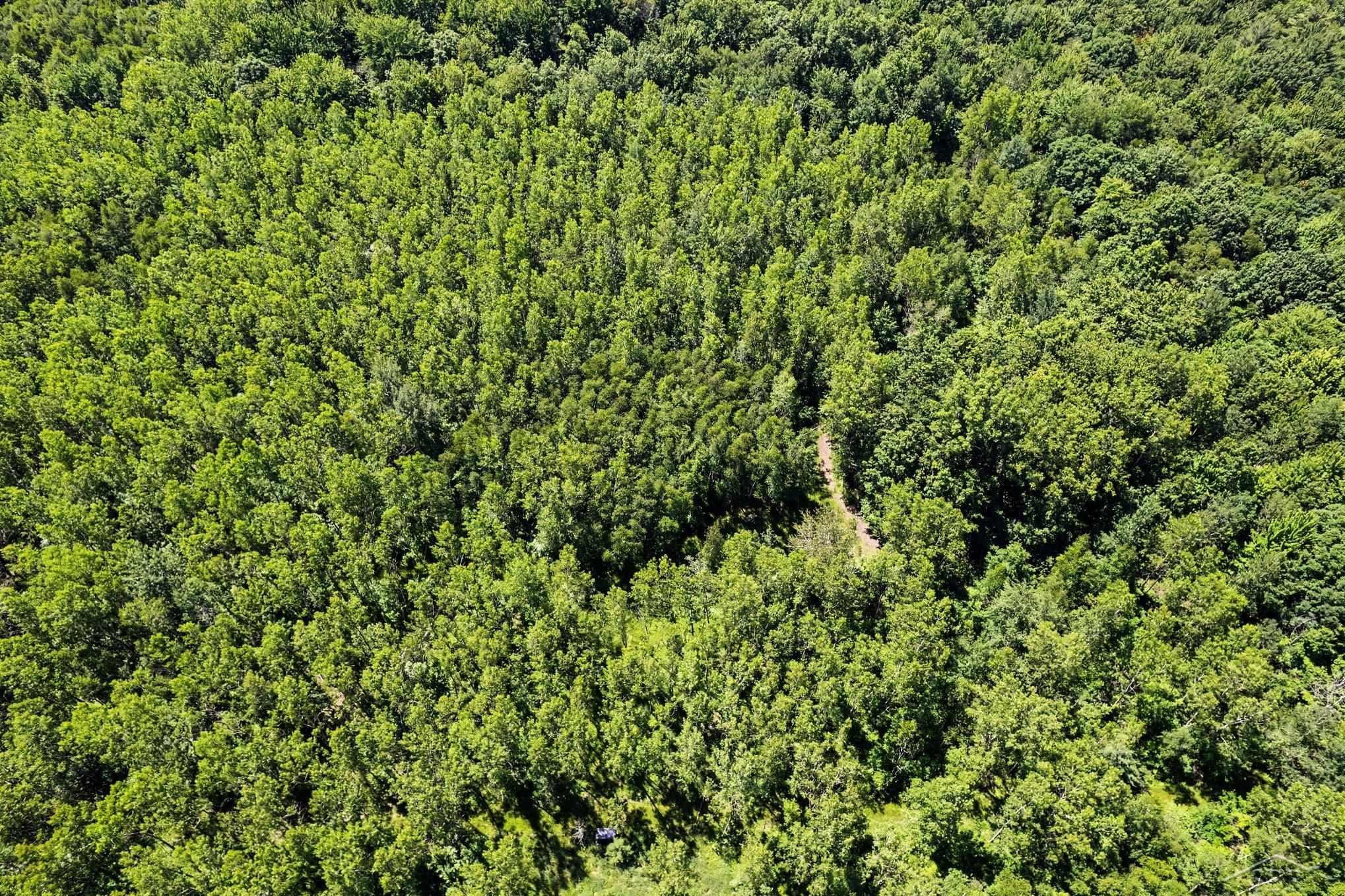 S Fenmore Road, Merrill, MI 48637 — Photo 12