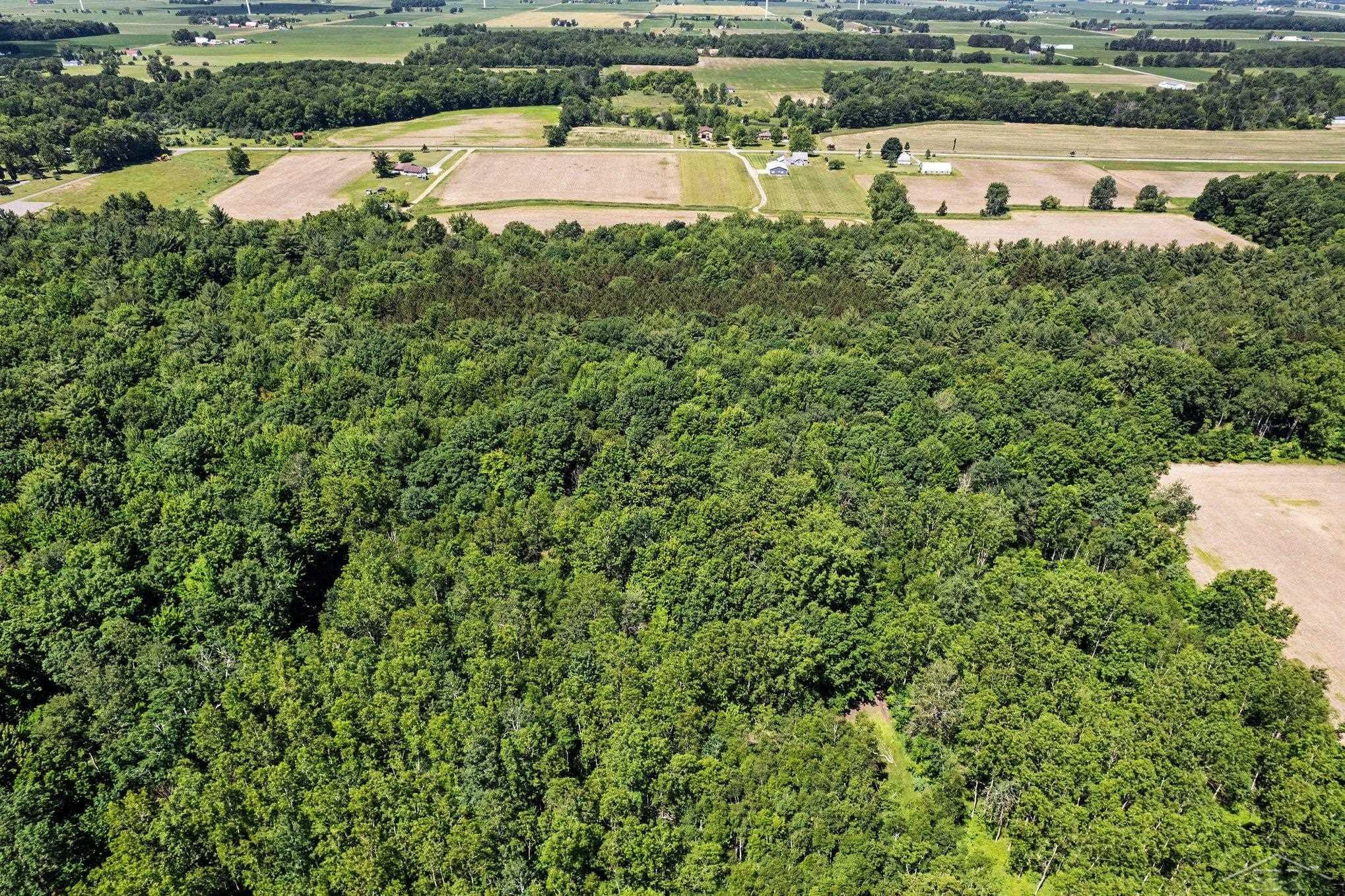 S Fenmore Road, Merrill, MI 48637 — Photo 13