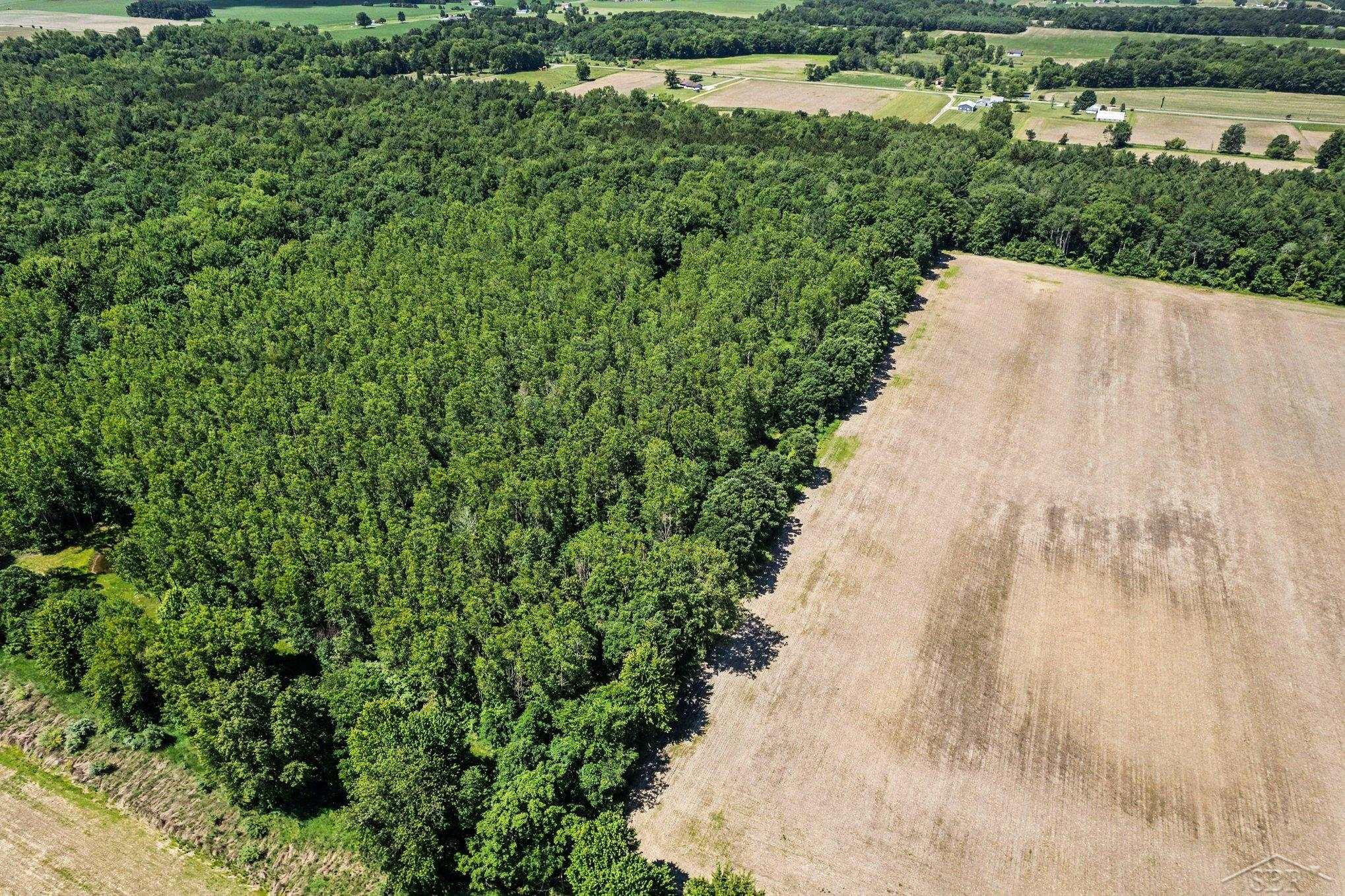 S Fenmore Road, Merrill, MI 48637 — Photo 15